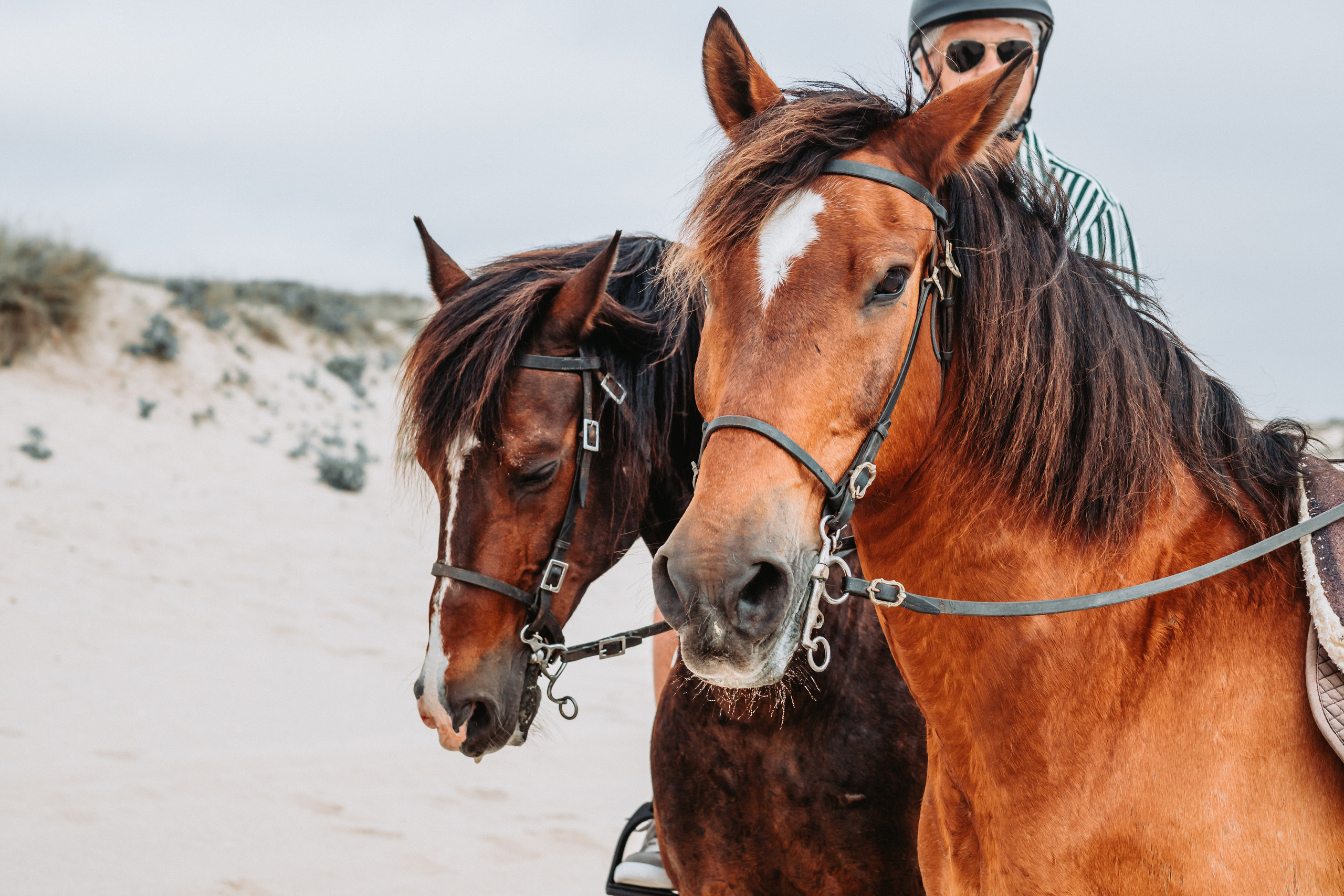 Momento a Dois com Pedido de Casamento. Fotografia e Filmes de Casamento de Luxo | Portugal & Destination Weddings | Ricardo & Mary Pictures