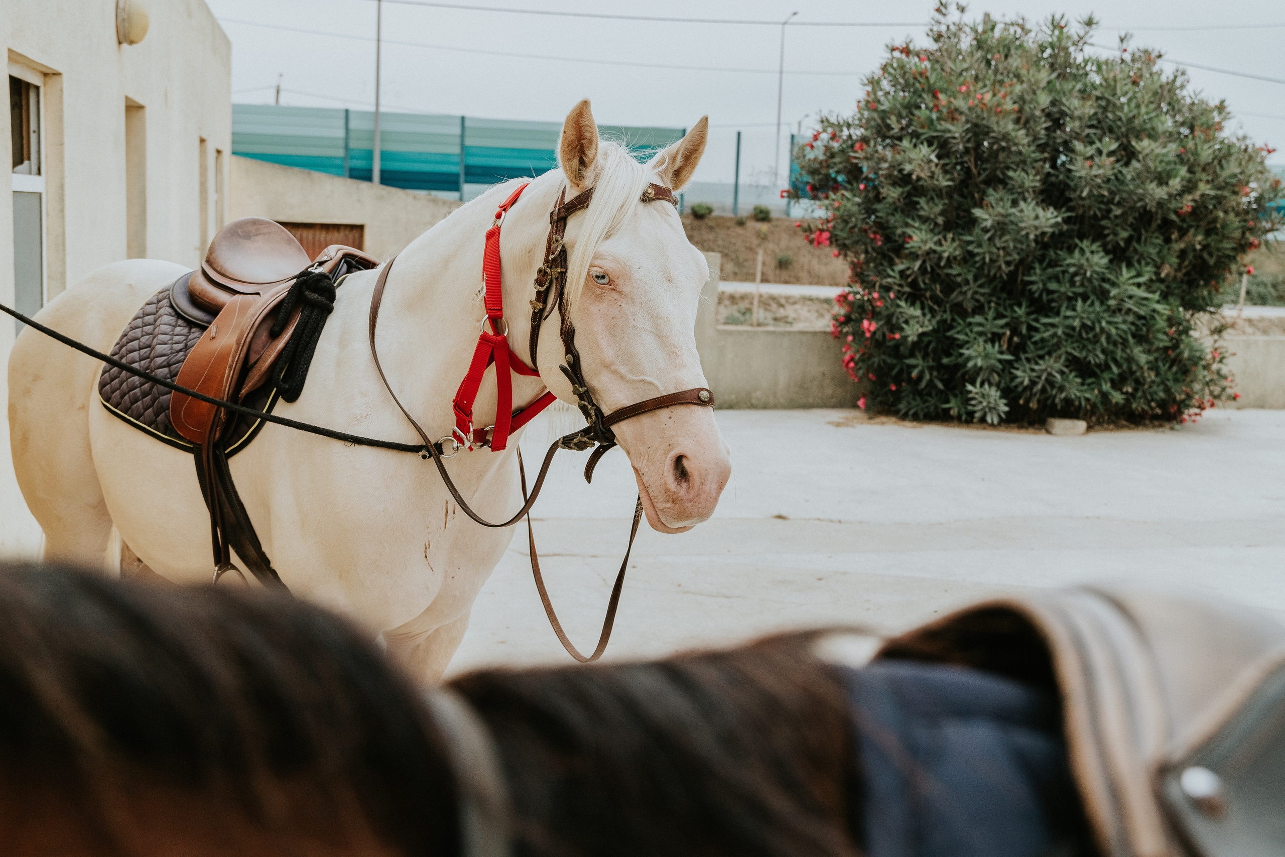 Momento a Dois em Peniche. Fotografia & Filmes de Casamentos | Portugal & Mundo | Ricardo & Mary