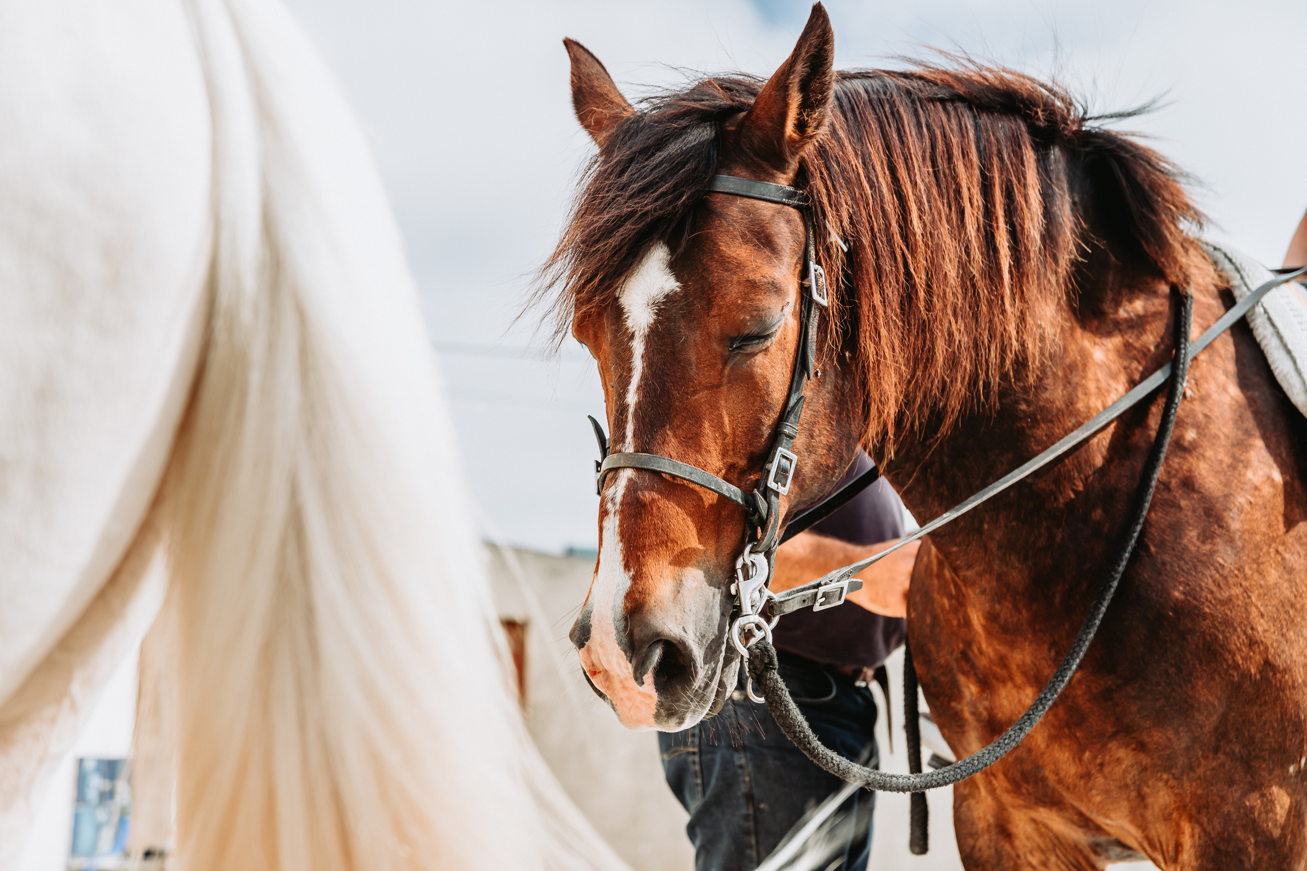 Momento a Dois com Pedido de Casamento. Fotografia e Filmes de Casamento de Luxo | Portugal & Destination Weddings | Ricardo & Mary Pictures