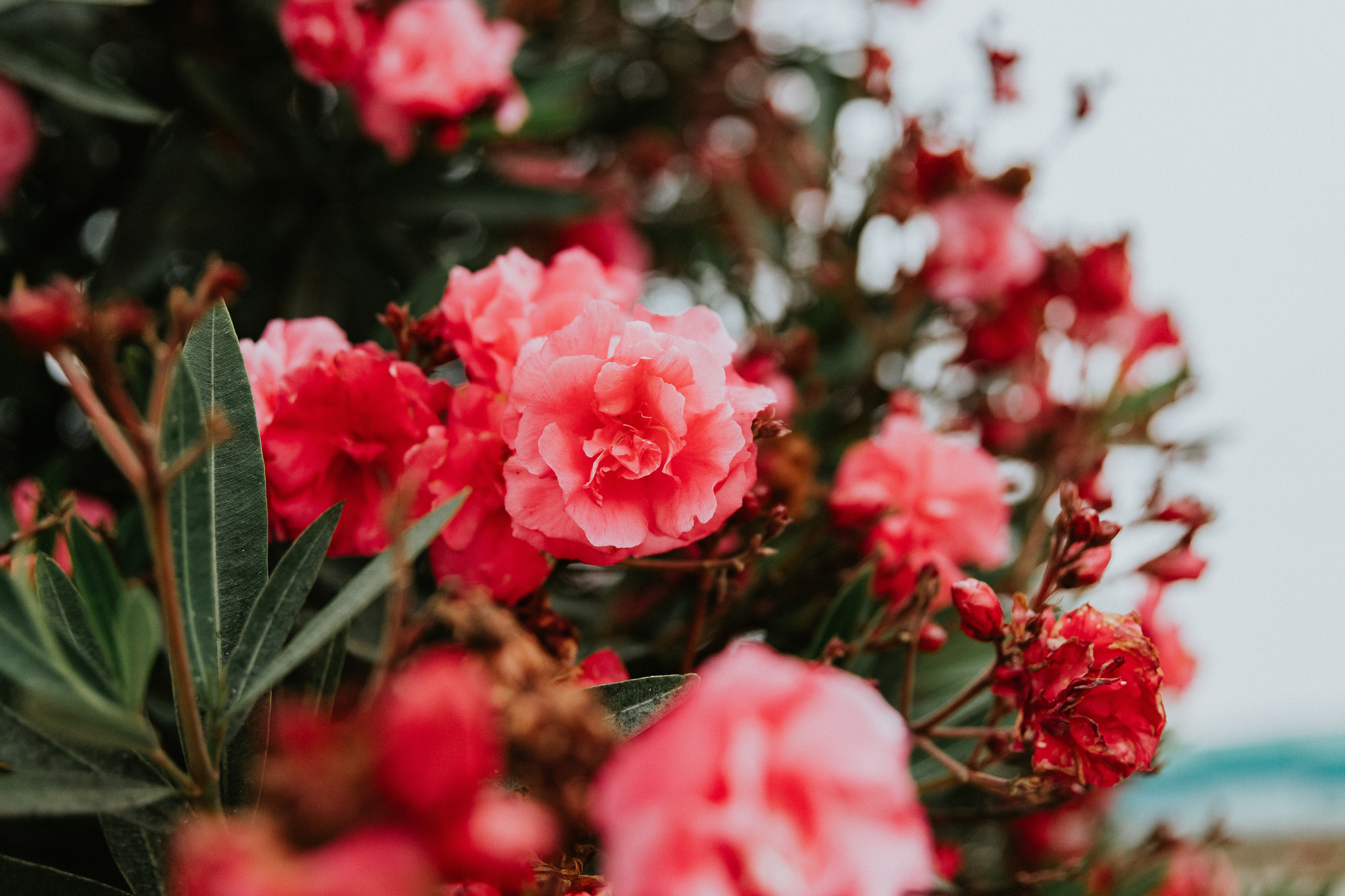 Momento a Dois em Peniche. Fotografia & Filmes de Casamentos | Portugal & Mundo | Ricardo & Mary