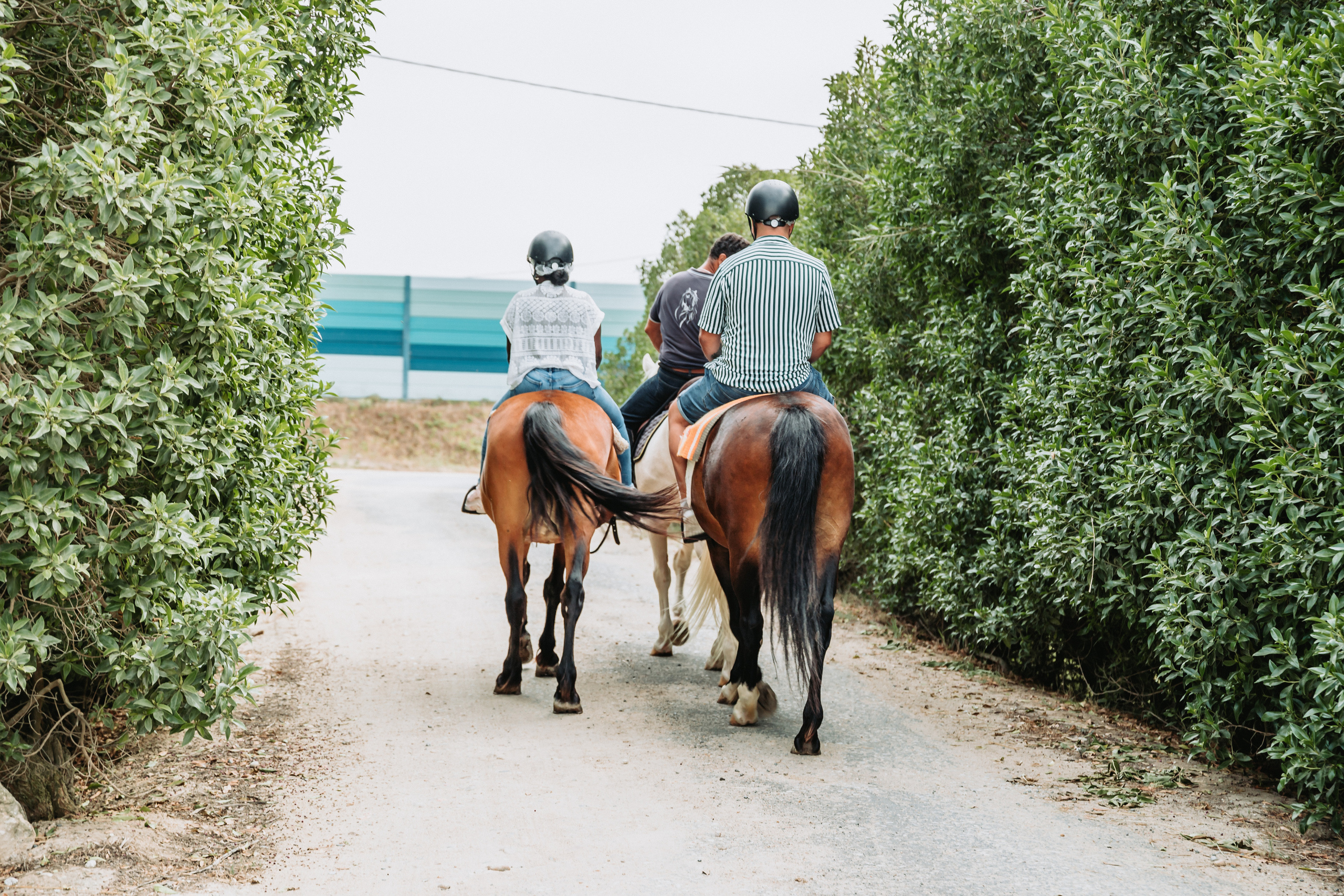 Momento a Dois com Pedido de Casamento. Fotografia e Filmes de Casamento de Luxo | Portugal & Destination Weddings | Ricardo & Mary Pictures