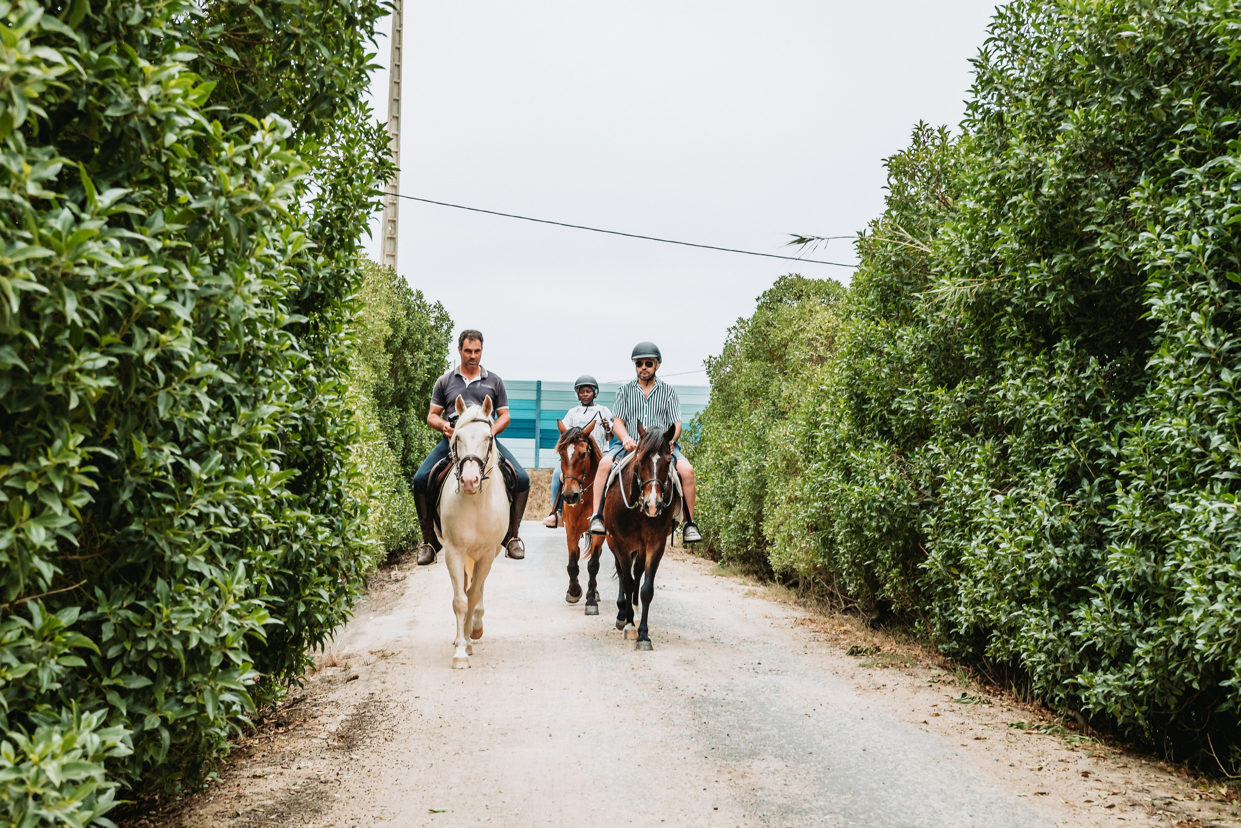 Momento a Dois com Pedido de Casamento. Fotografia e Filmes de Casamento de Luxo | Portugal & Destination Weddings | Ricardo & Mary Pictures