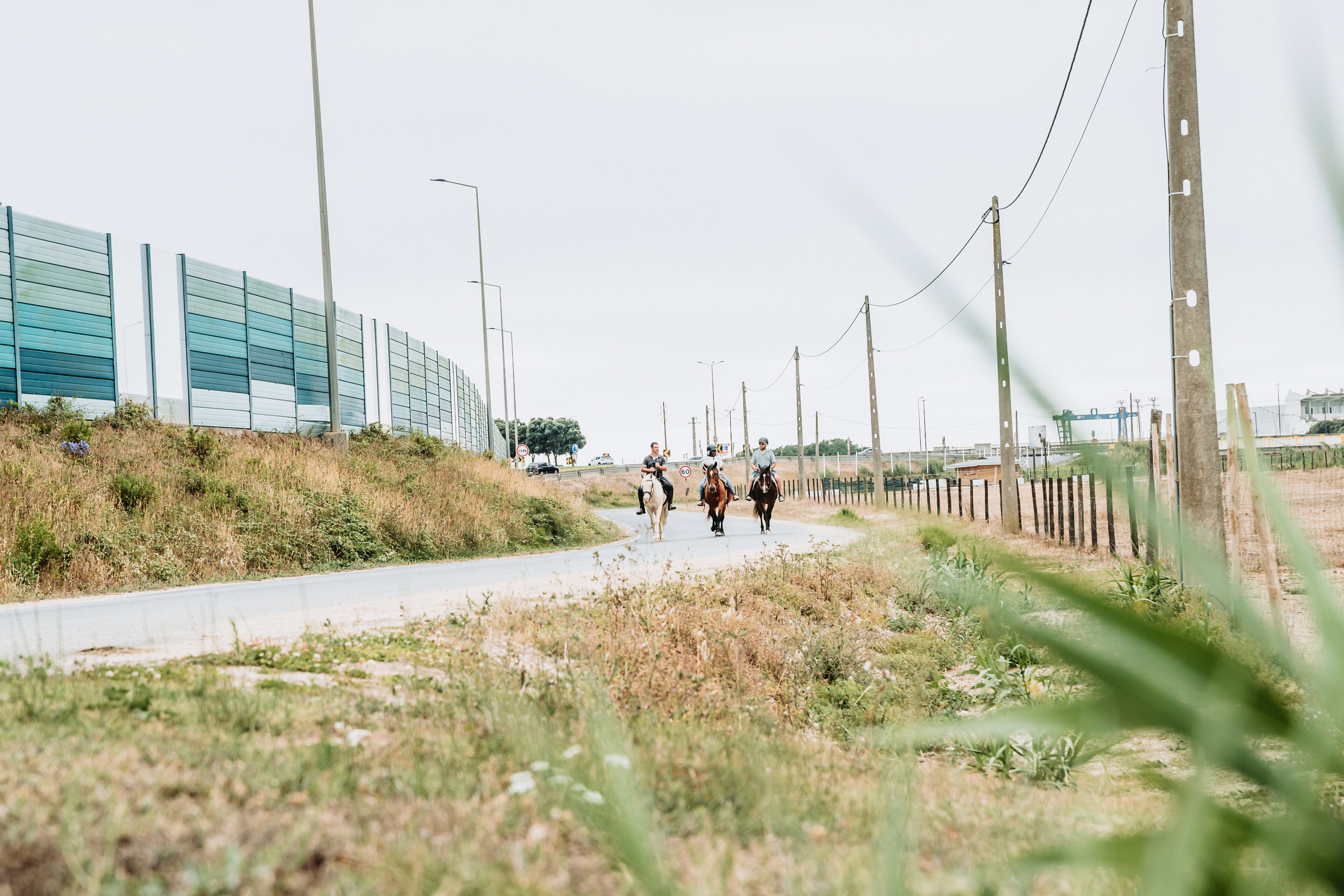 Momento a Dois com Pedido de Casamento. Fotografia e Filmes de Casamento de Luxo | Portugal & Destination Weddings | Ricardo & Mary Pictures
