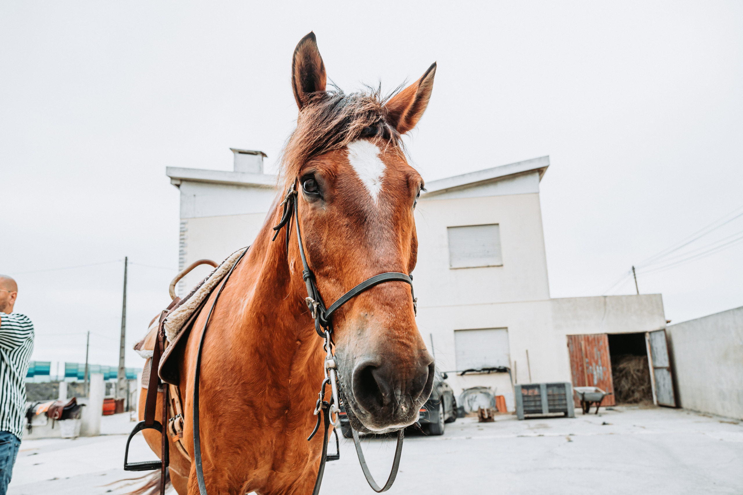 Momento a Dois com Pedido de Casamento. Fotografia e Filmes de Casamento de Luxo | Portugal & Destination Weddings | Ricardo & Mary Pictures