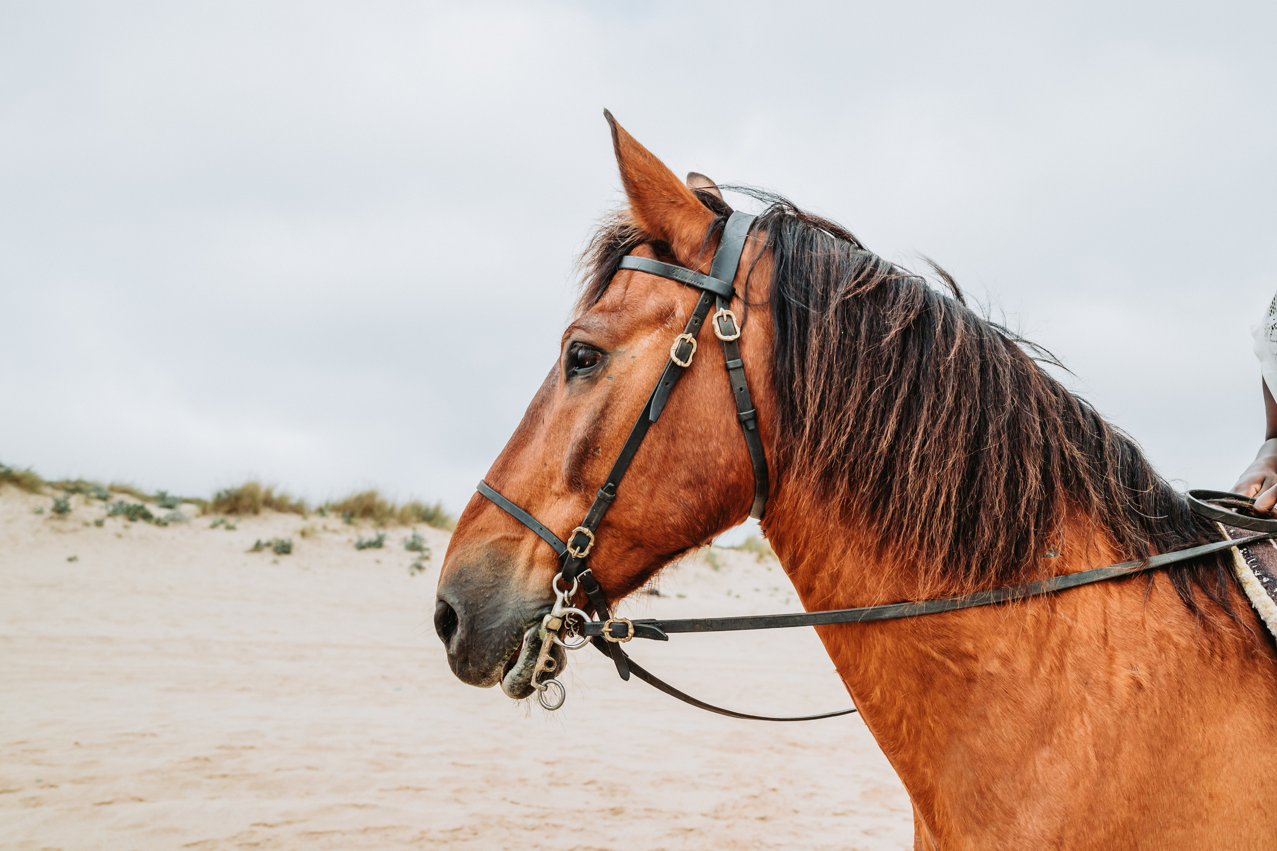 Momento a Dois com Pedido de Casamento. Fotografia e Filmes de Casamento de Luxo | Portugal & Destination Weddings | Ricardo & Mary Pictures