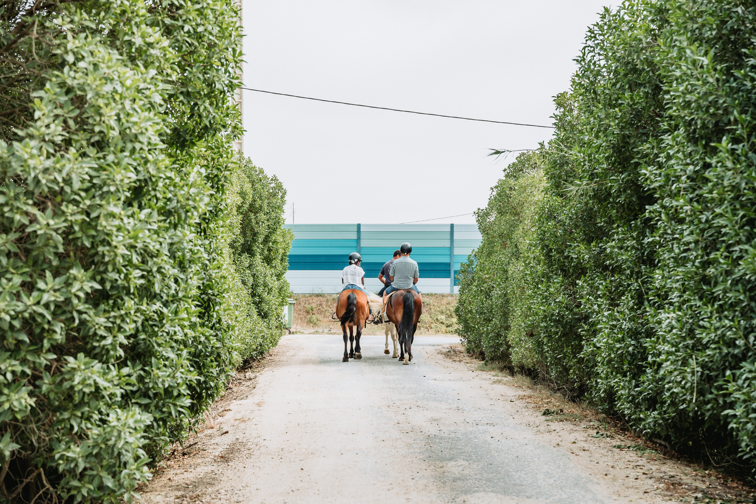 Momento a Dois com Pedido de Casamento. Fotografia e Filmes de Casamento de Luxo | Portugal & Destination Weddings | Ricardo & Mary Pictures