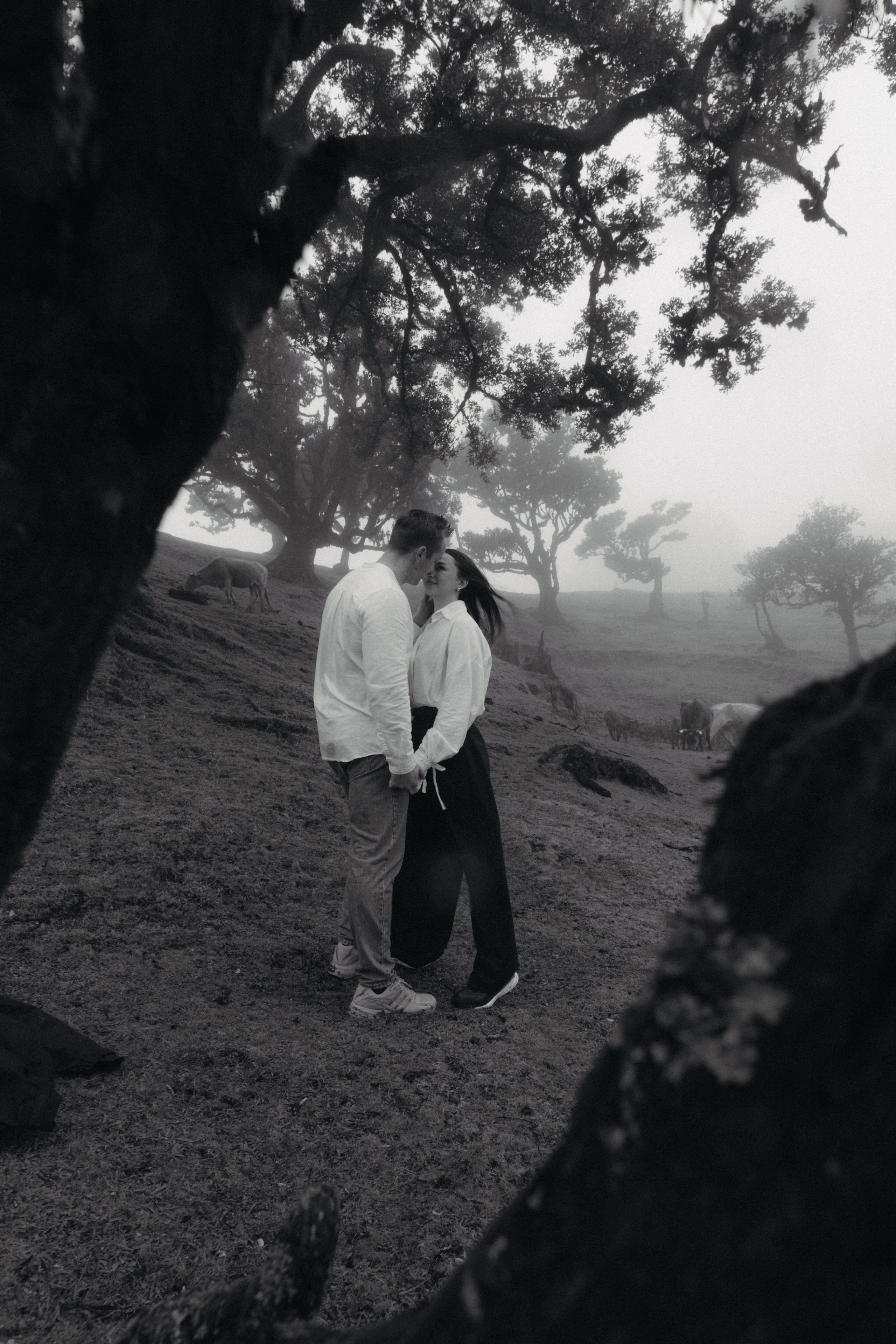 Magic of Fanal Forest. Wedding photographer and videographer based in Timisoara, Romania