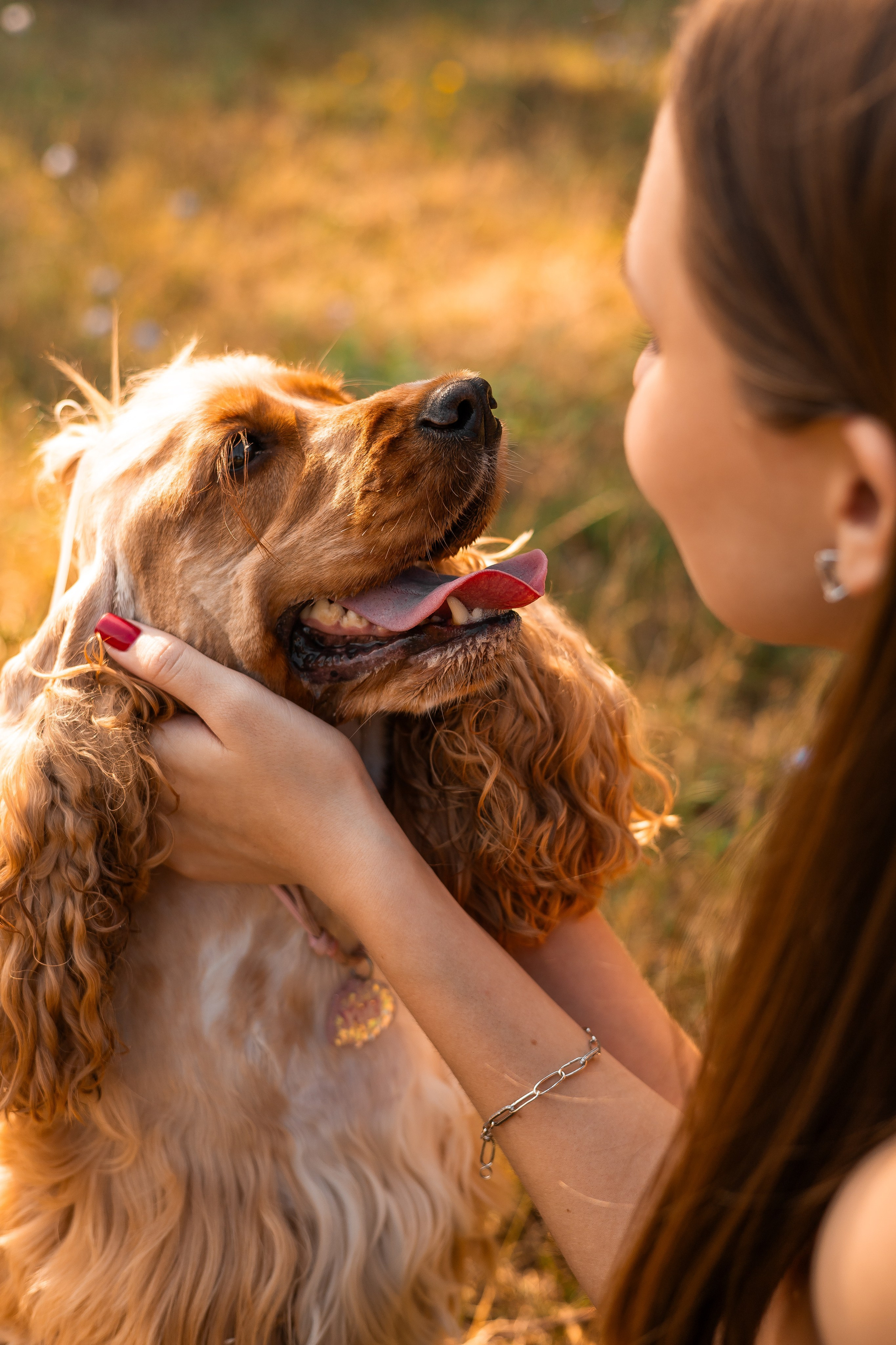 Обо мне. Фотограф-анималист | Белград