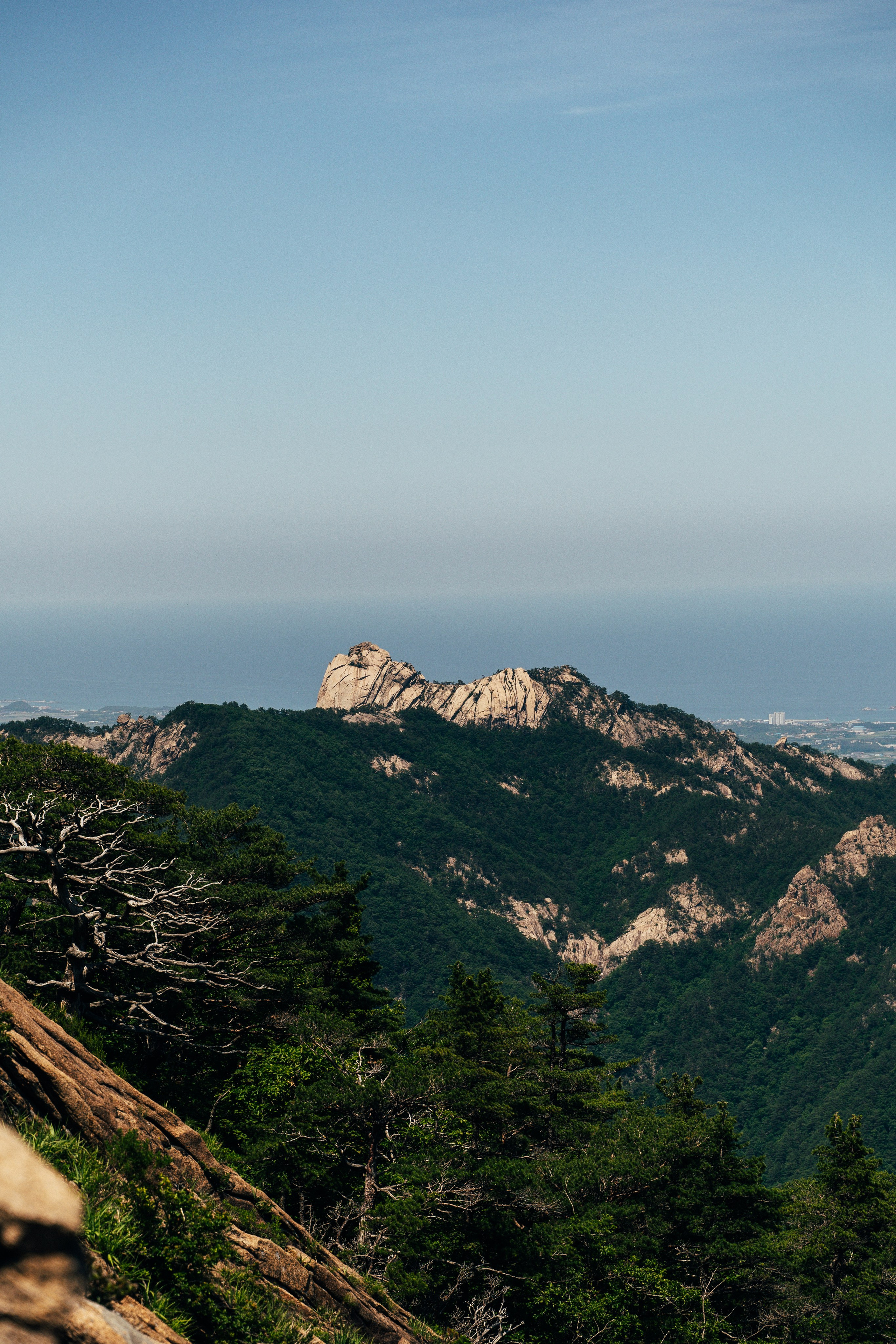 🇰🇷 Южная Корея. Фотограф и travel-блоггер Александра Гриценко