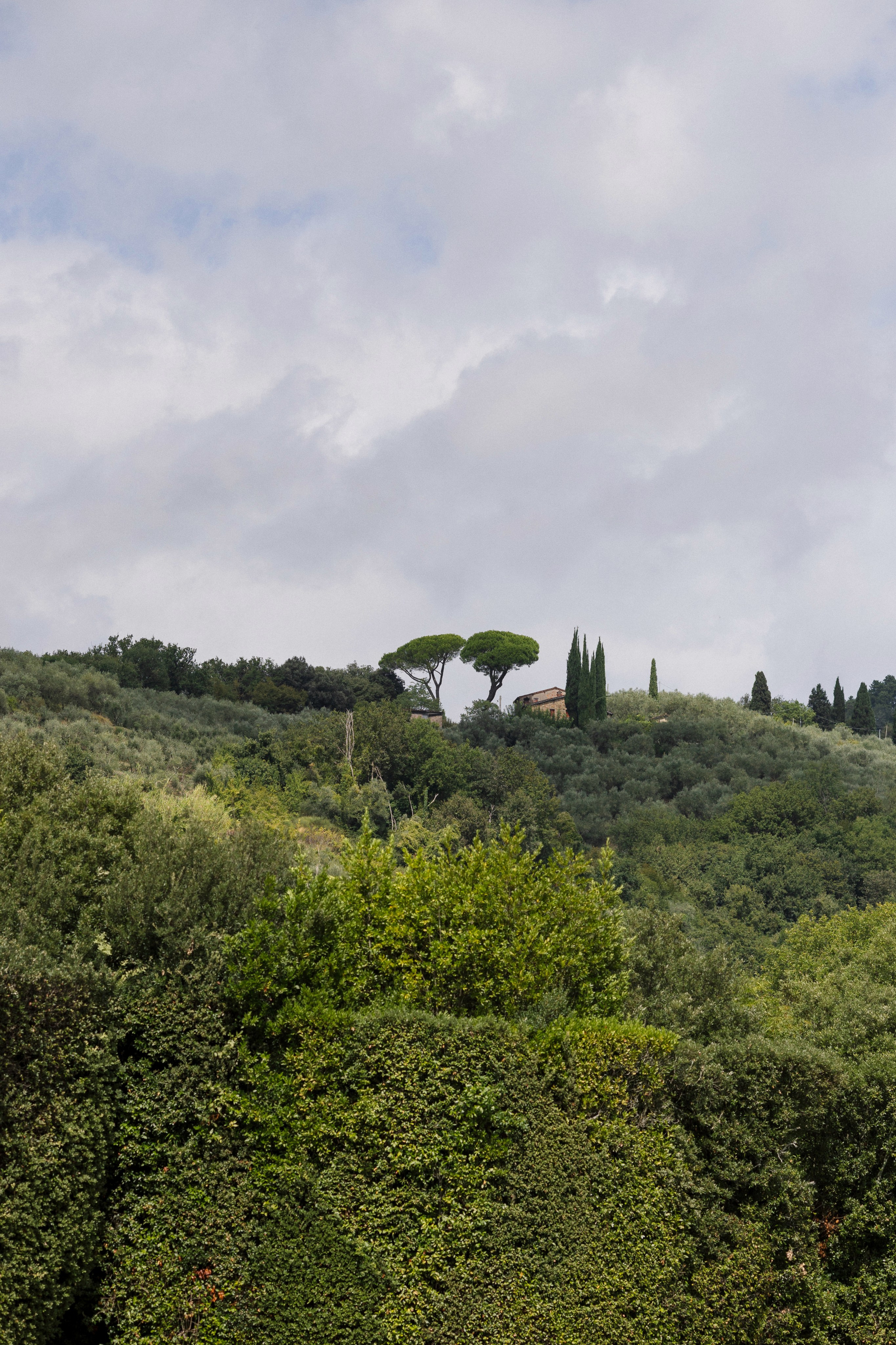 Alissa & Jakob · Villa Grabau, Tuscany. Raw Studio: Capturing Elegant weddings accross Europe