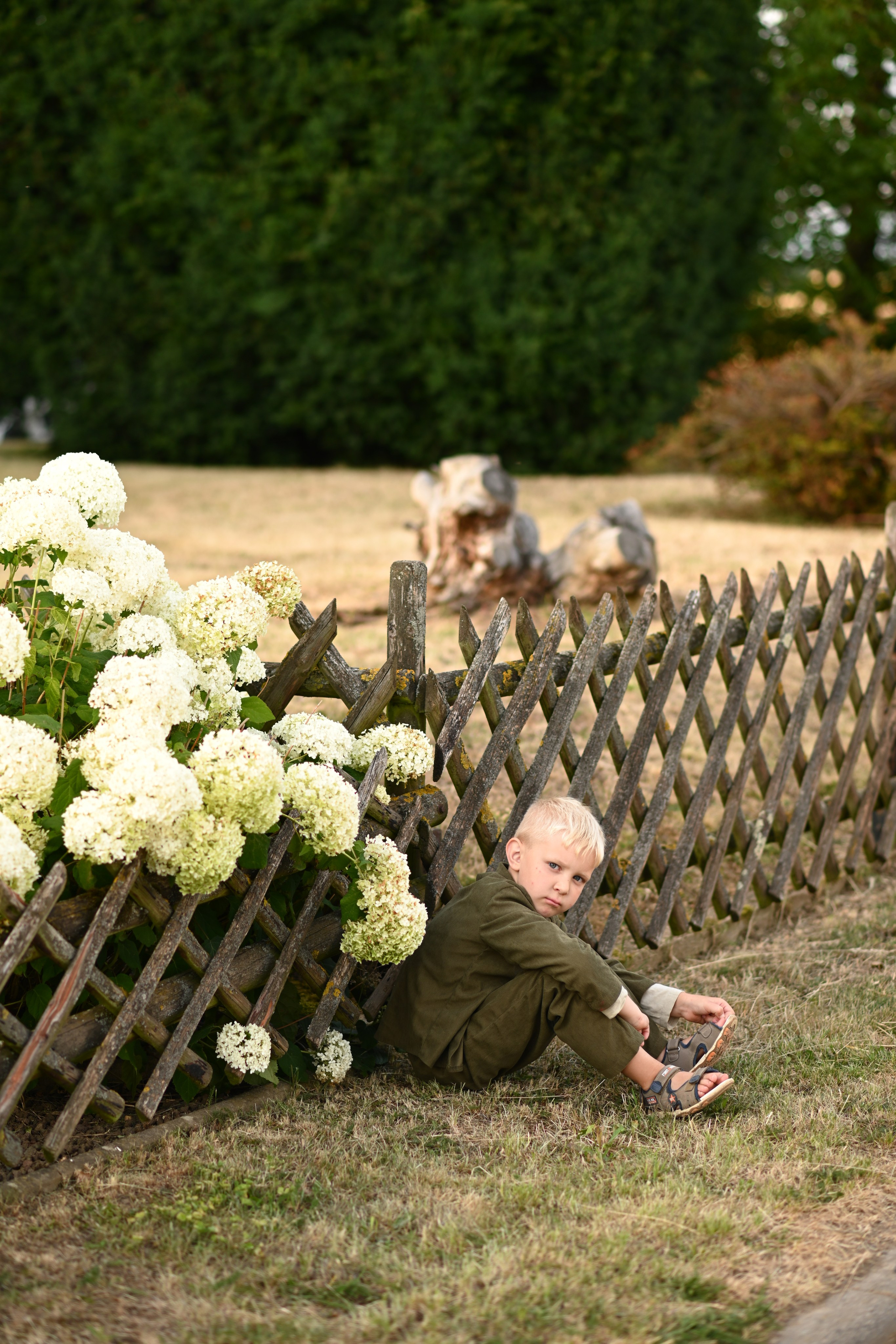Outdoor-Kinderfotos im Kreis Düren zwischen Weizen und Kohl.