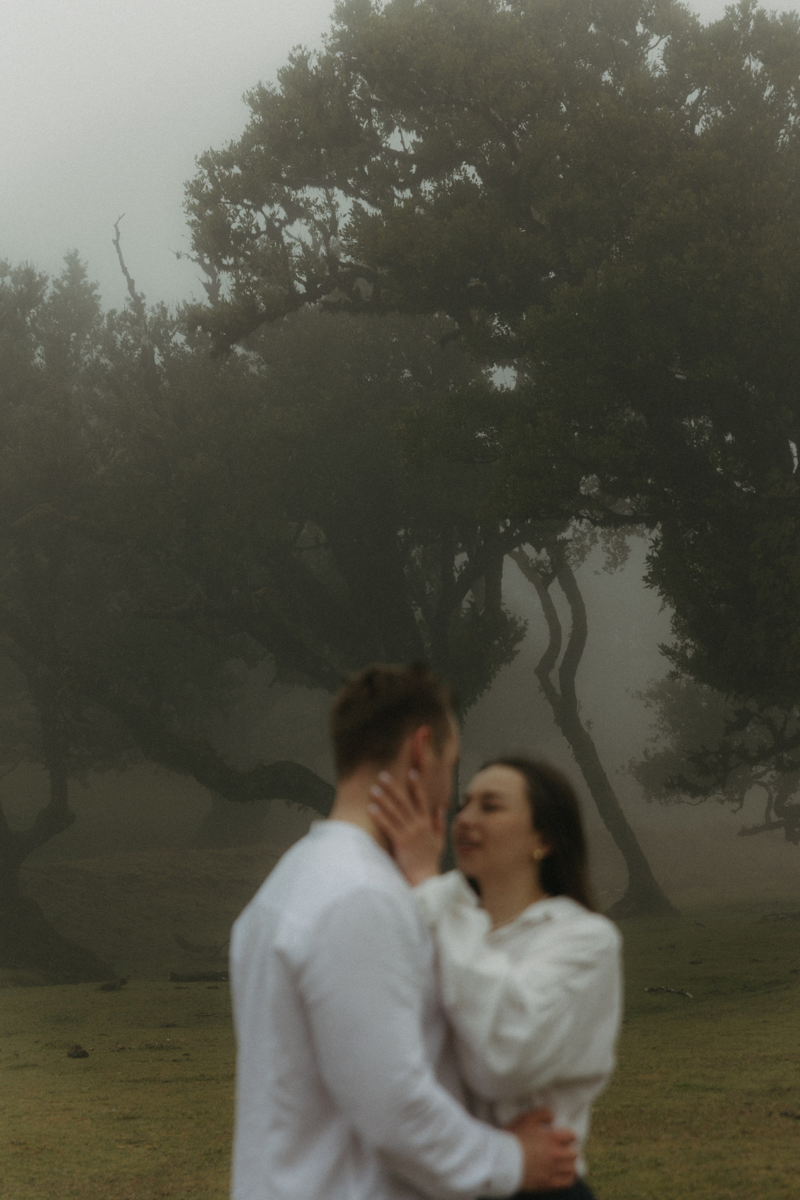 Magic of Fanal Forest. Wedding photographer and videographer based in Timisoara, Romania
