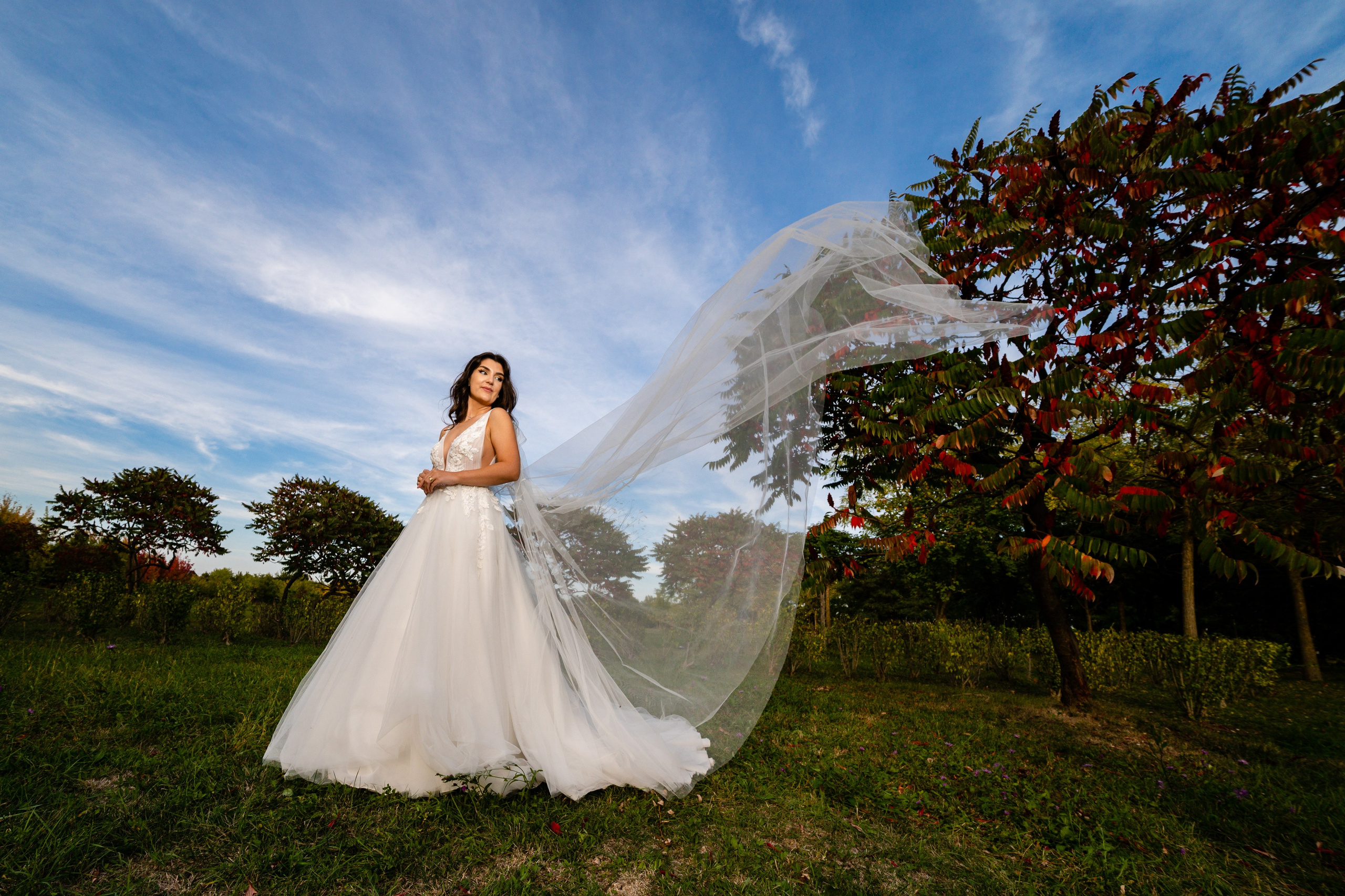 Andreea & Remus. Acasă