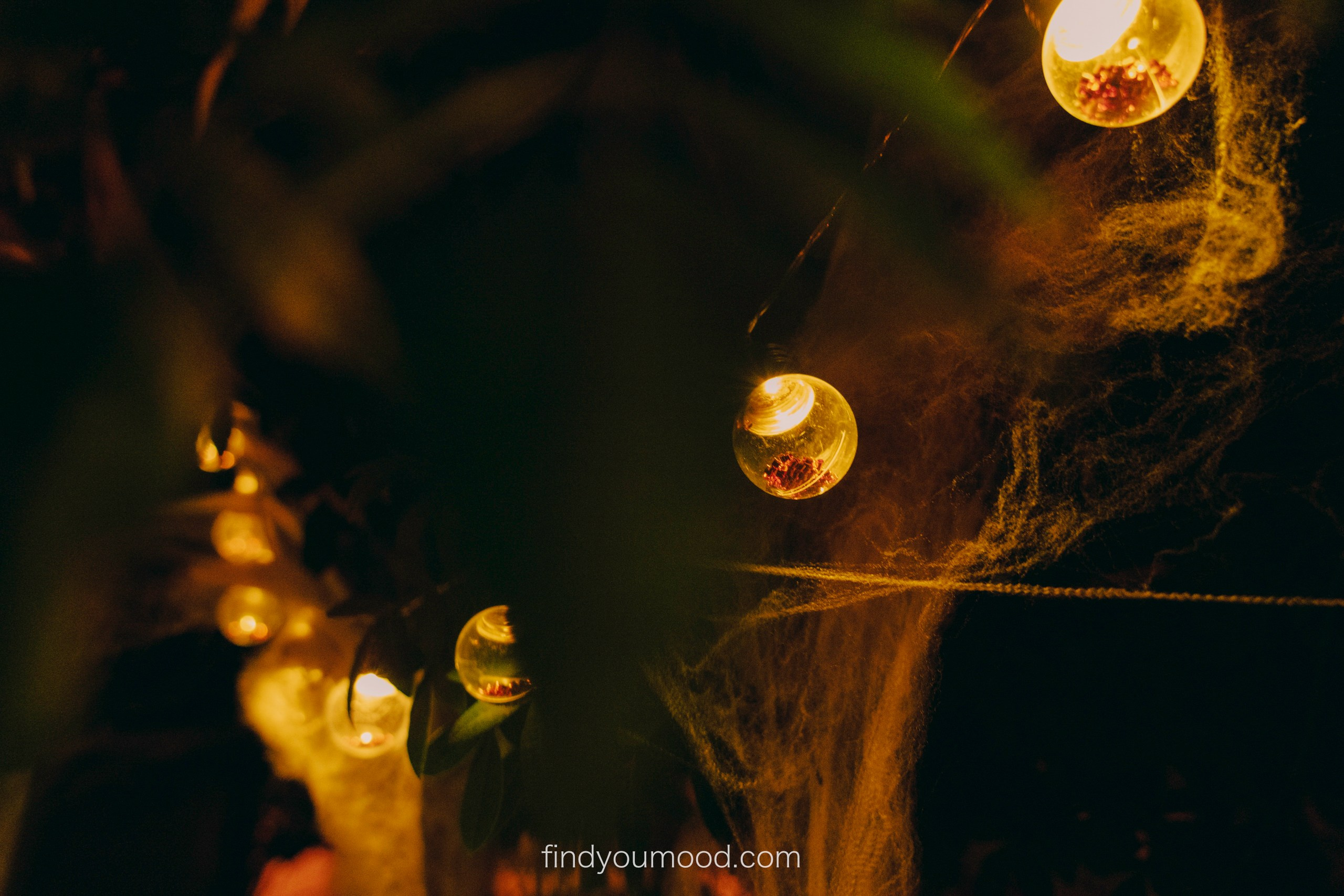 Halloween. Photo and video shooting