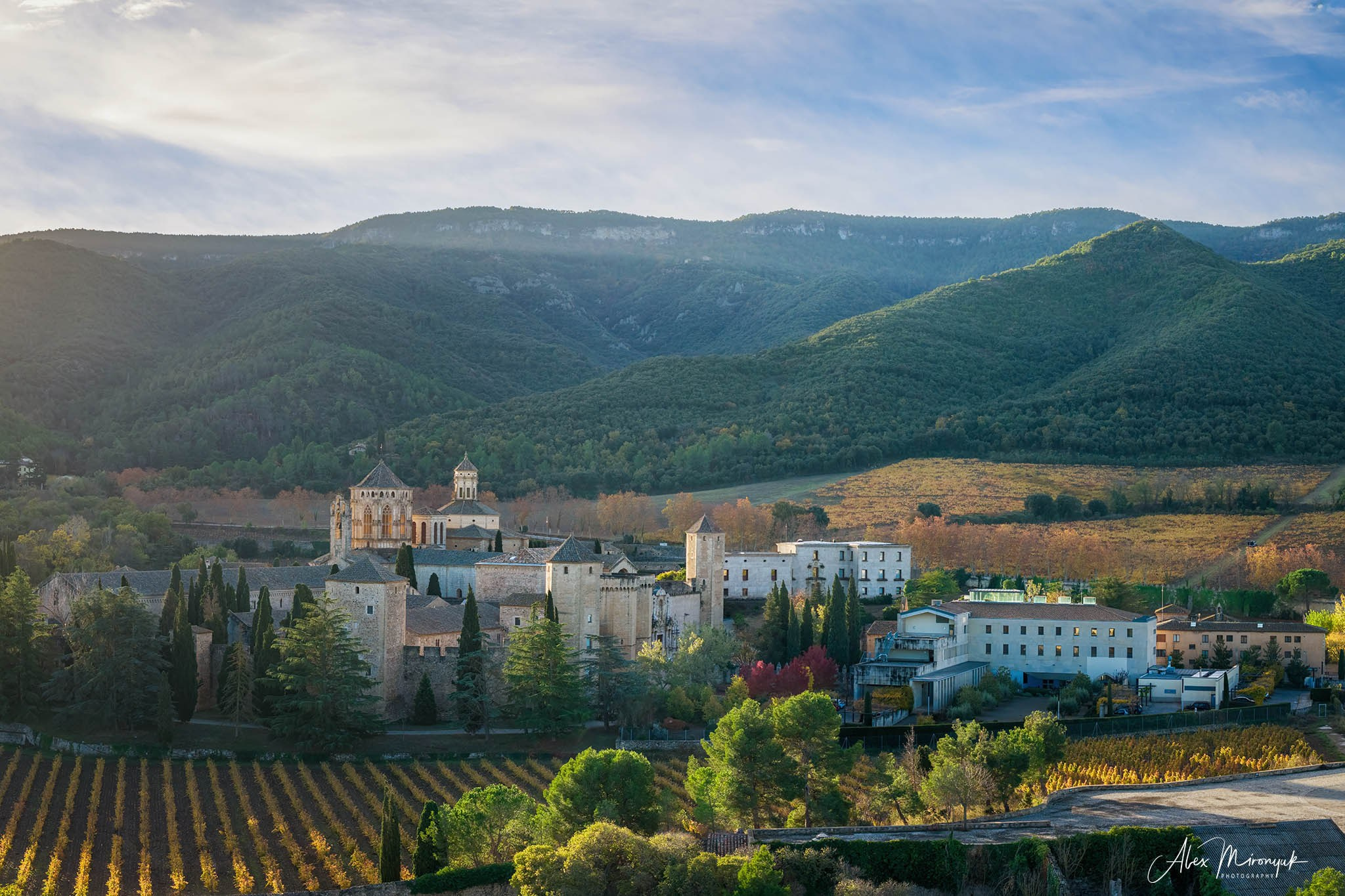 Catalonian Medieval Castles. Pet, Senior, Landscape, portrait studio, photographer in Miami and Sou