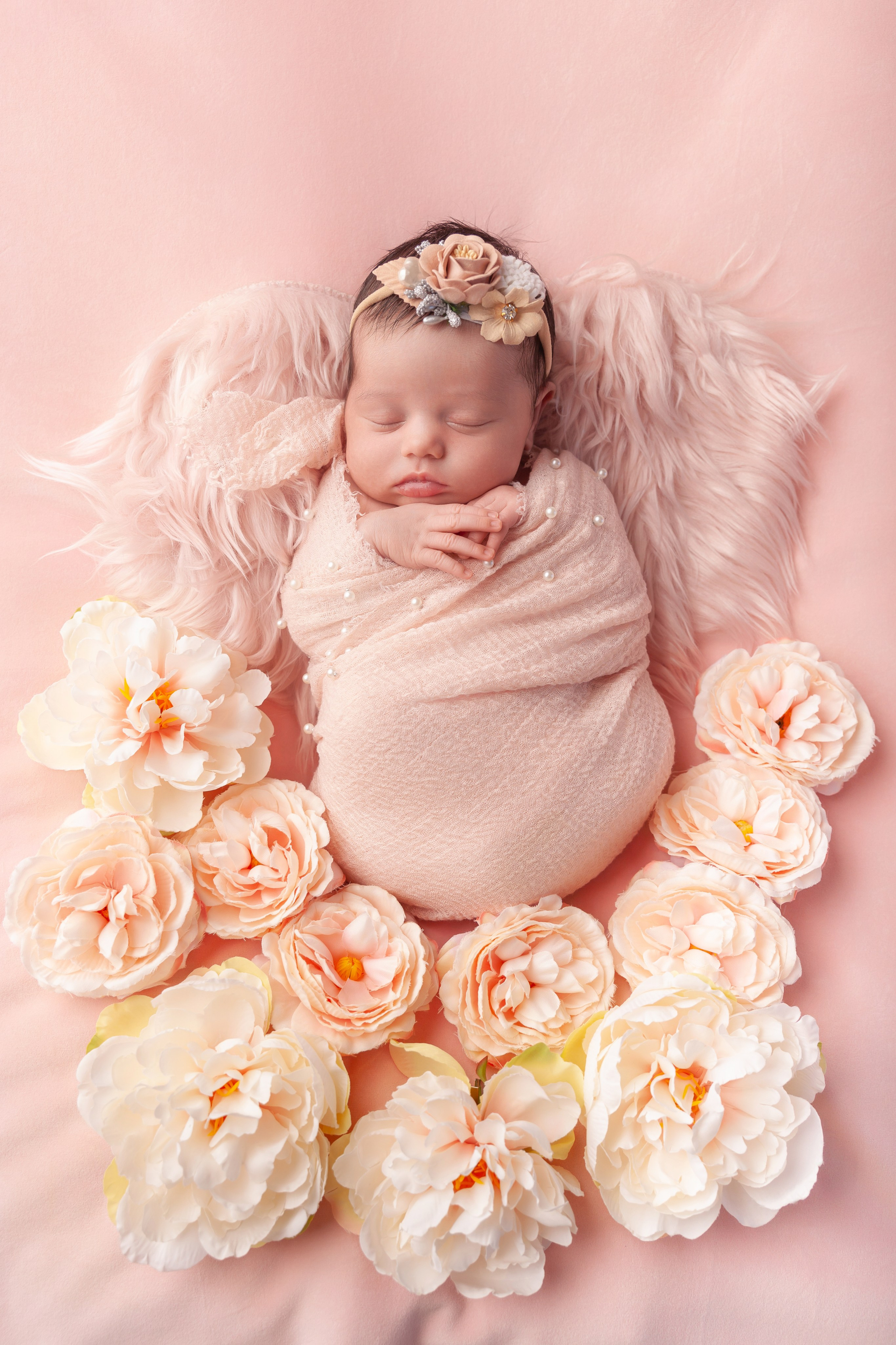 Services. Marina Pravda Photography San Francisco Bay Area