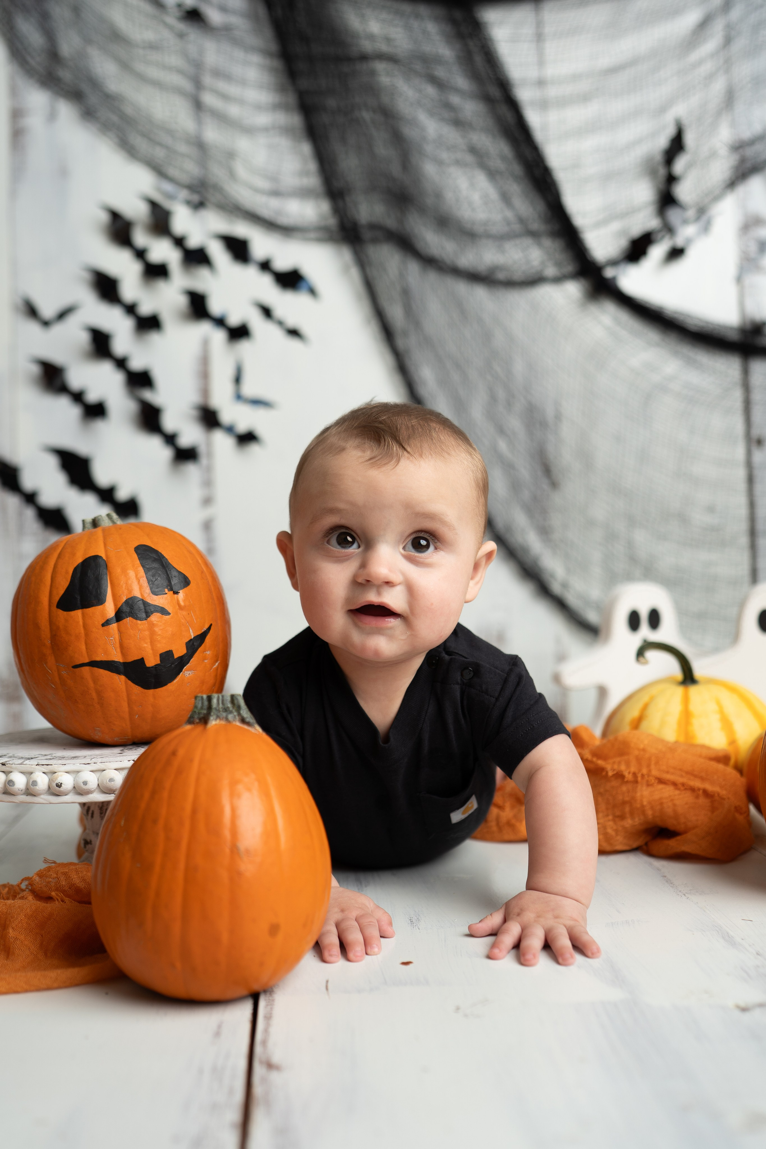 Milestone. Maternity, family and newborn photography in San Francisco Bay Area