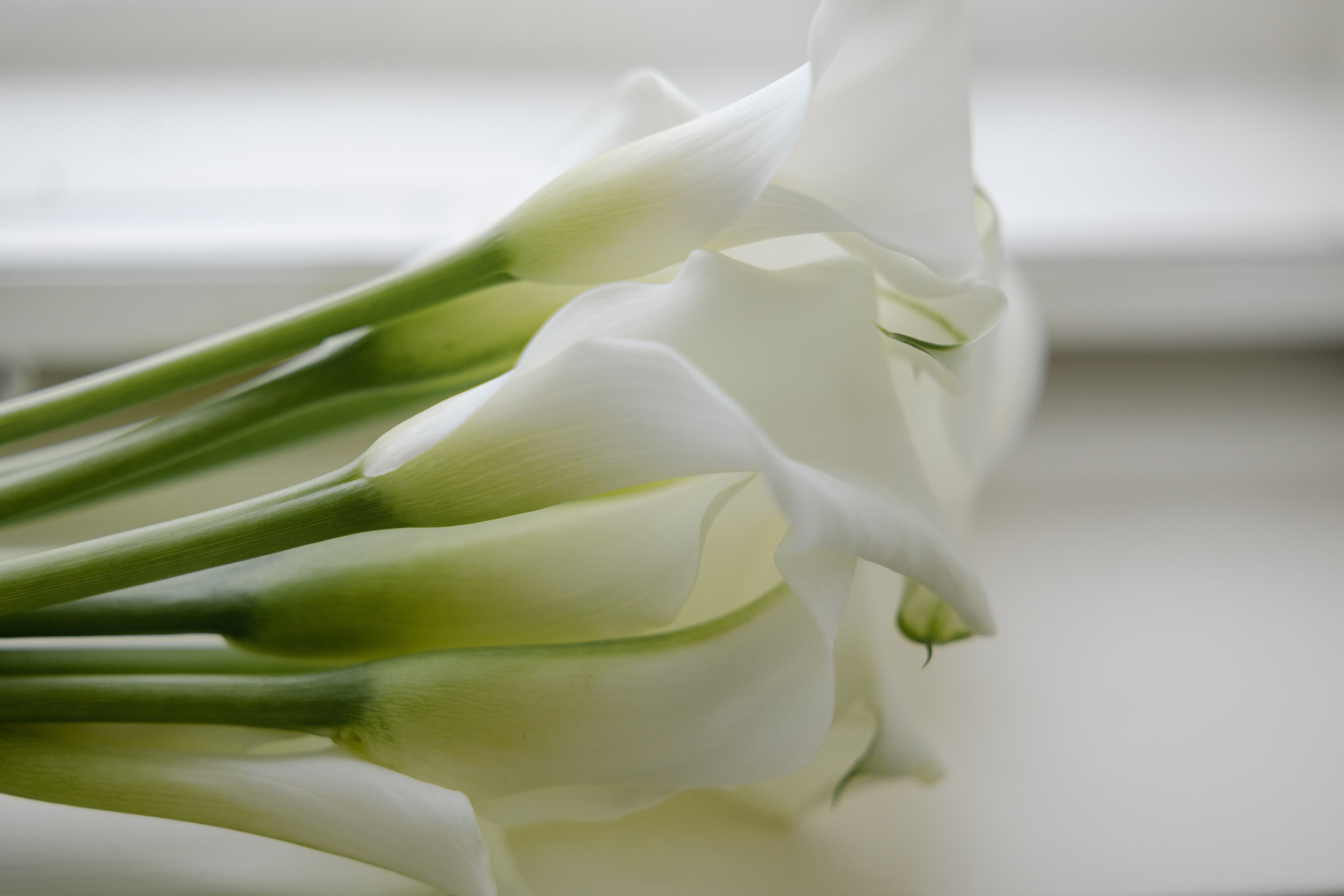 WEDDING PHOTOGRAPHY. Timeless Wedding & Event Photography from London to the world