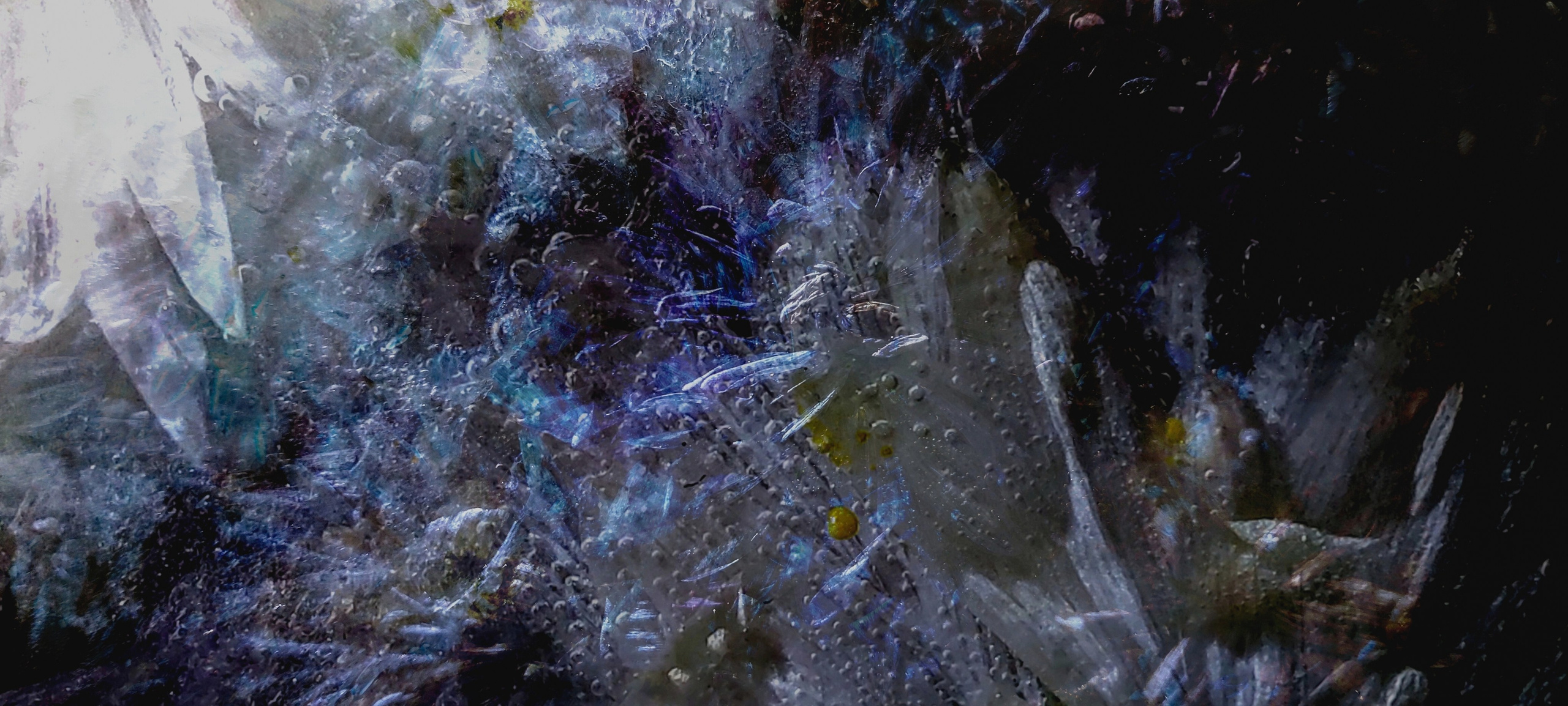 Проекти. Фотограф Оксана Ляшенко Дніпро Україна Oksain