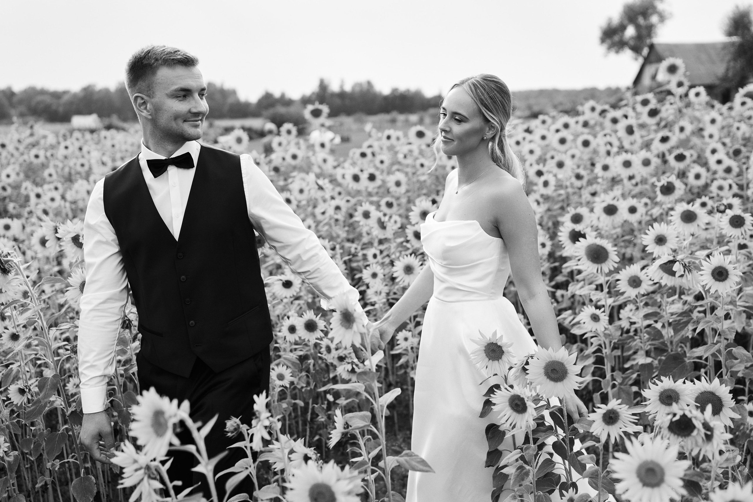 Paulinos ir Domanto vestuvių fotosesijos galerija. Misevic Wedding — Jausminga ir Profesionali Vestuvių Fotografija