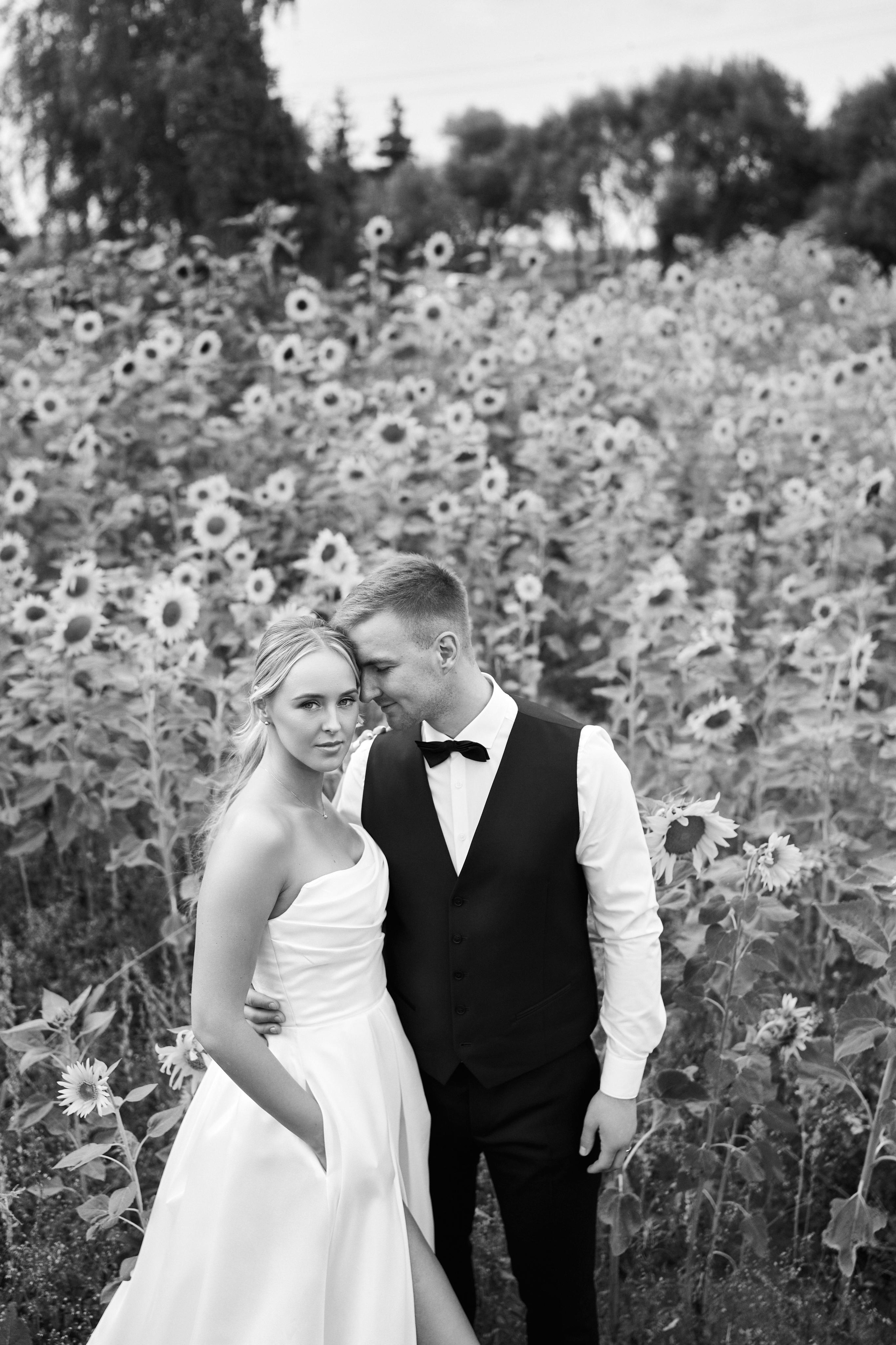 Paulinos ir Domanto vestuvių fotosesijos galerija. Misevic Wedding — Jausminga ir Profesionali Vestuvių Fotografija