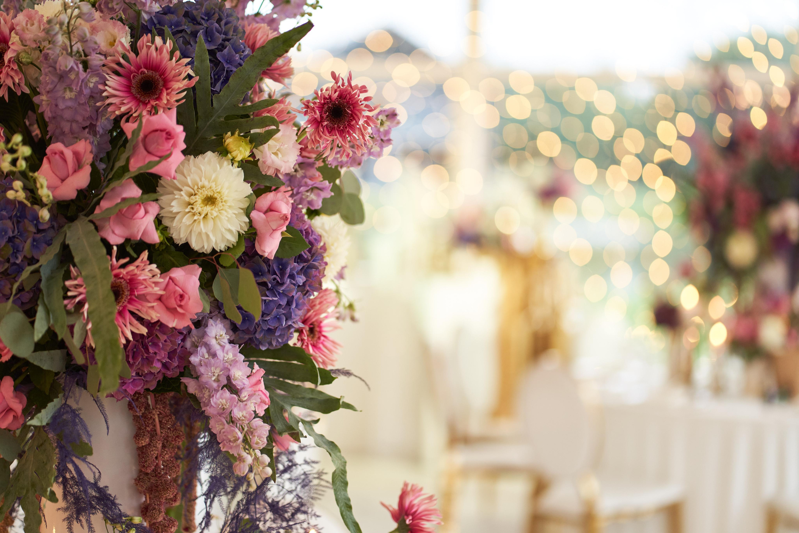 Kamilės ir Justino vestuvių fotosesijos galerija. Misevic Wedding — Jausminga ir Profesionali Vestuvių Fotografija