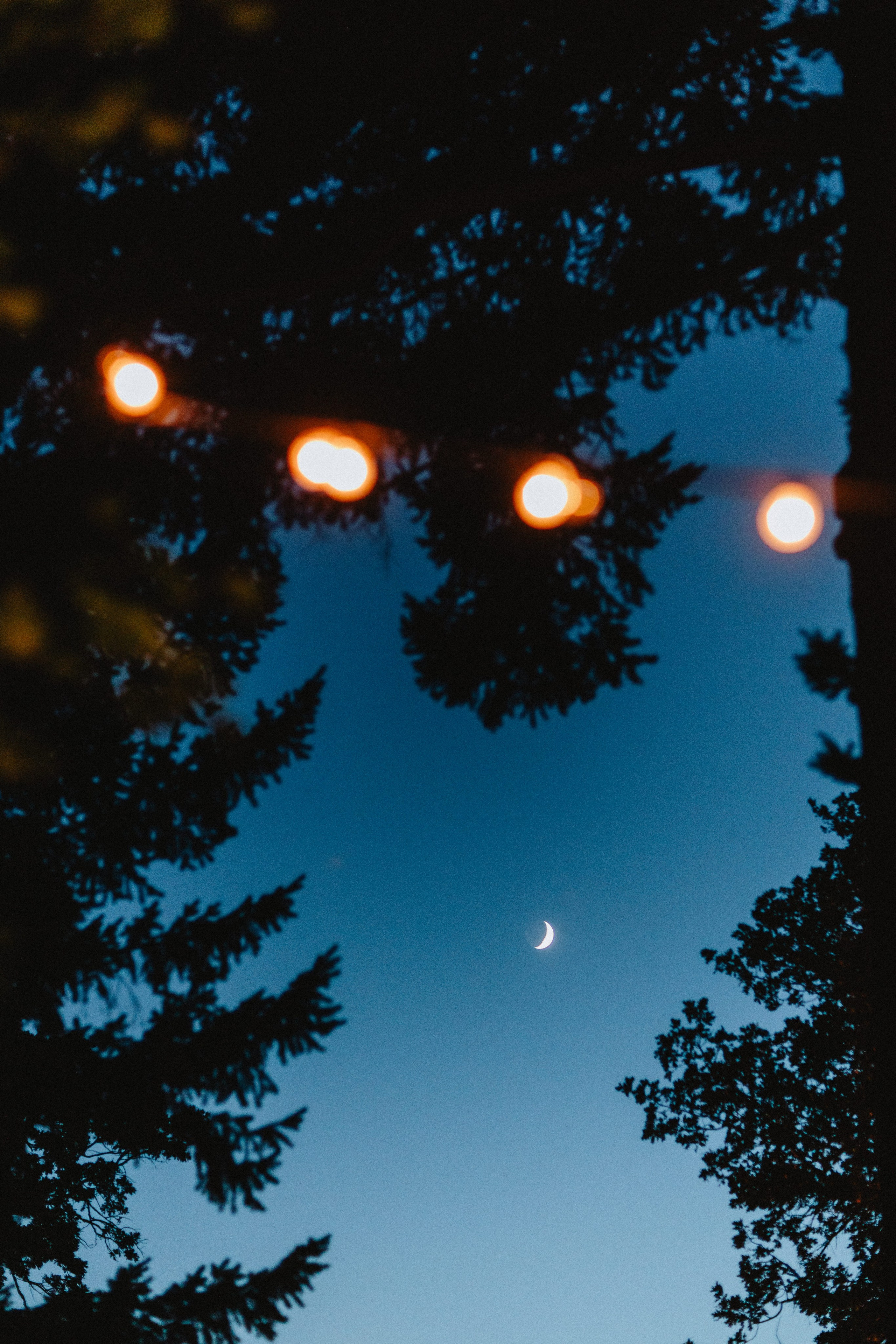 Brook & Richard's Wedding in Portland Oregon| Captured by Georgy Shishkin, Professional Wedding Photographer Seattle, Bend & Oregon Coast. Capturing Love in the Heart of the Pacific Northwes