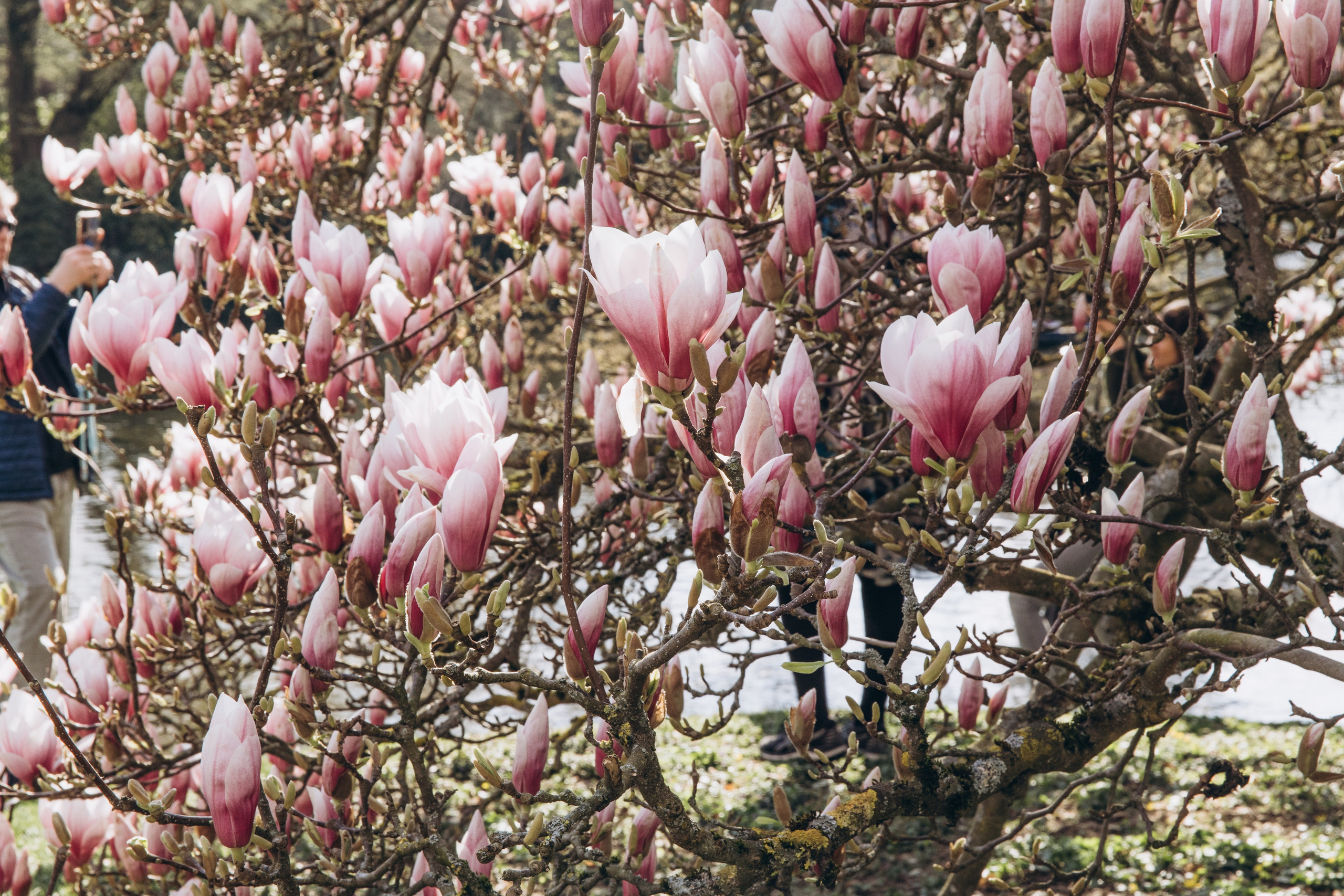 Hochzeit Schloss Philippsruhe Hanau | Hochzeitsfotograf Frankfurt & Hanau. Hochzeitsgeschichten – Professionelle Hochzeitsfotografie & Videografie in Deutschland, Italien, Spanien und ganz Europa