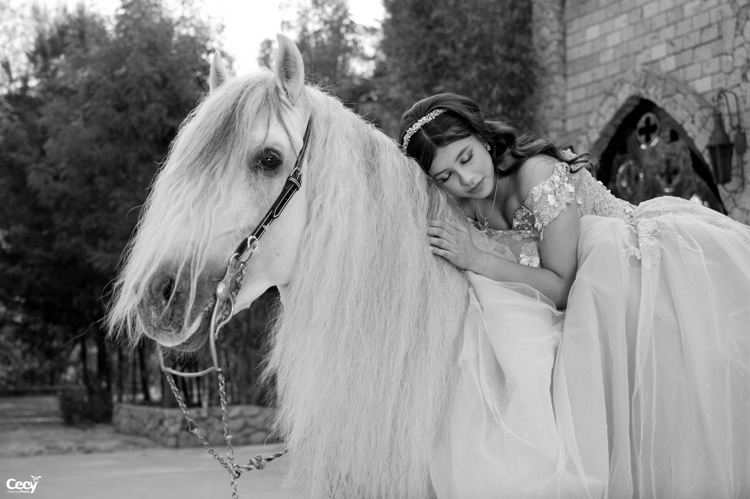 Cecy Villarreal Photo