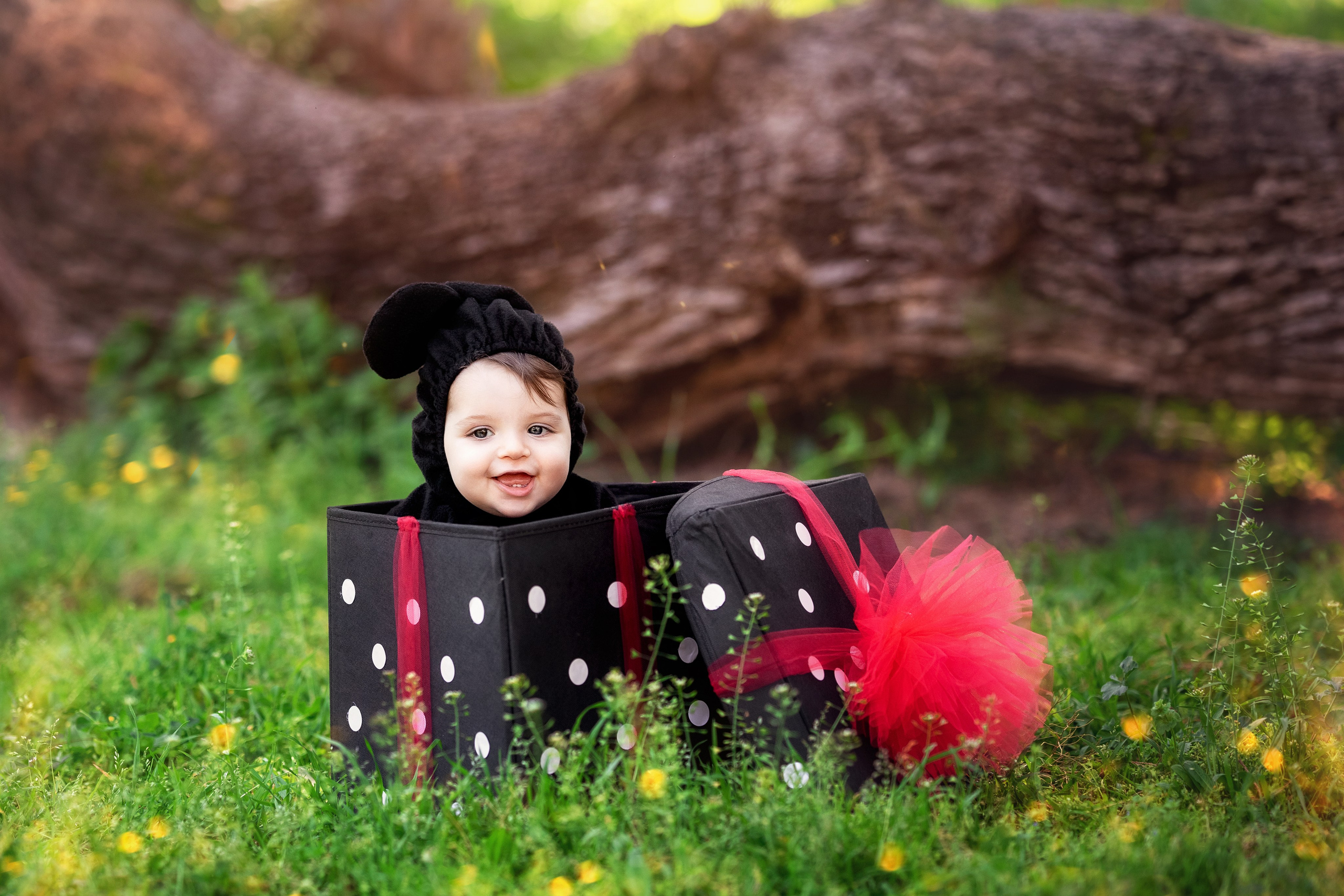Purim. נטליה רוזמן צלמת הריון ניובורן ילדים ובוק בת מצווה