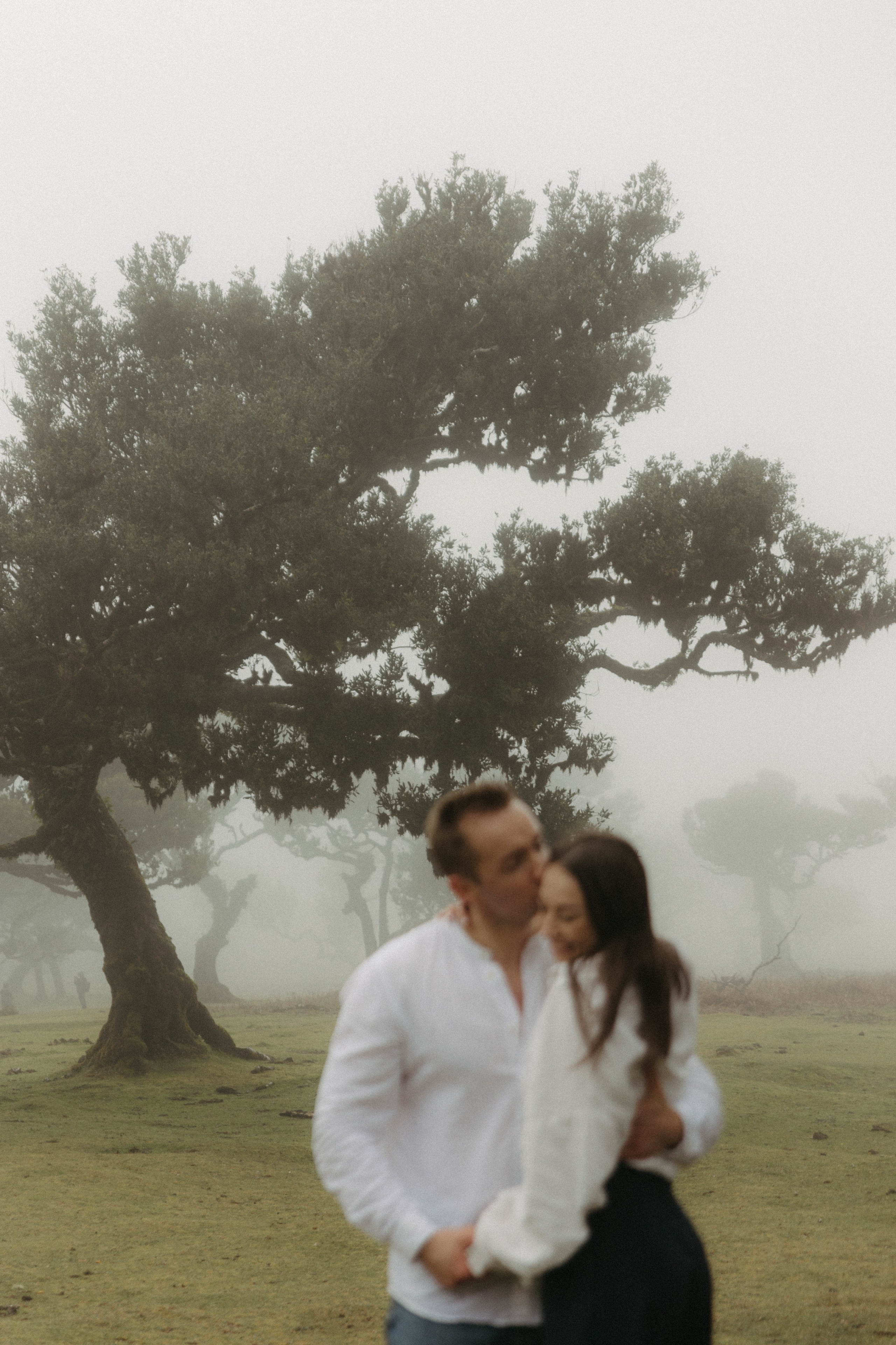 Magic of Fanal Forest. Wedding photographer and videographer based in Timisoara, Romania