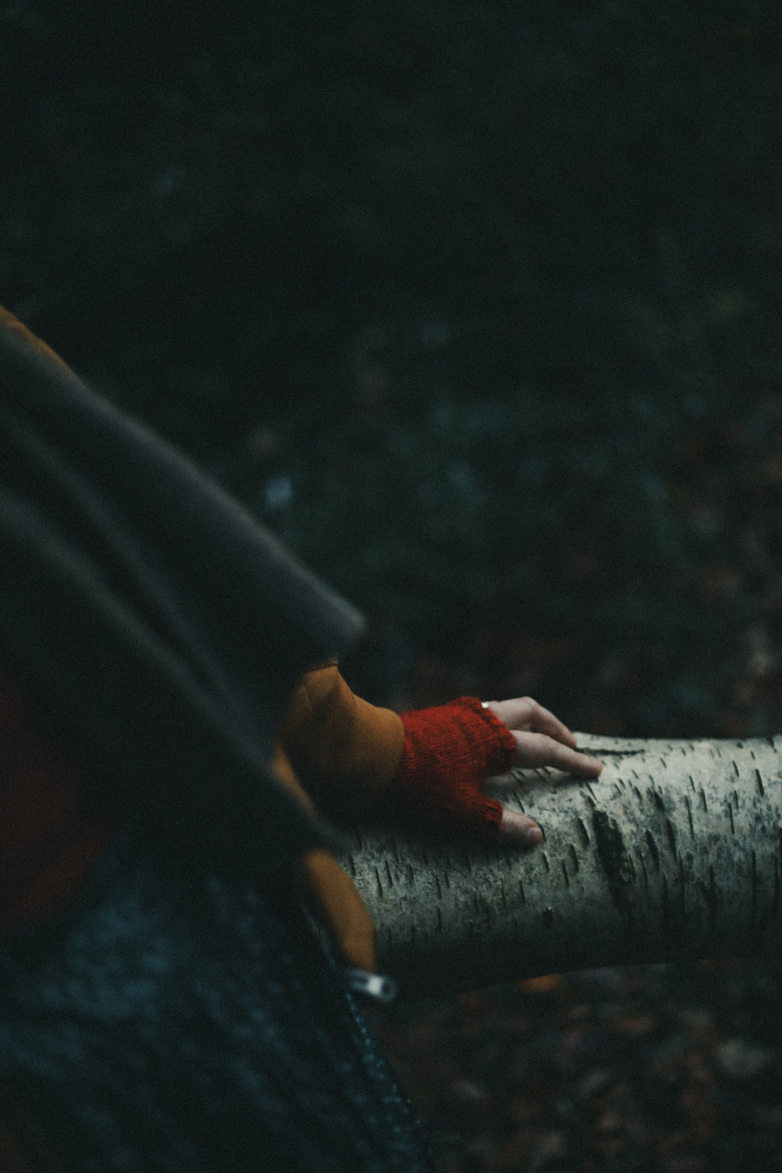 Zoe Hampstead Heath. Victoria Dini. Art photography in London / Folkestone, UK