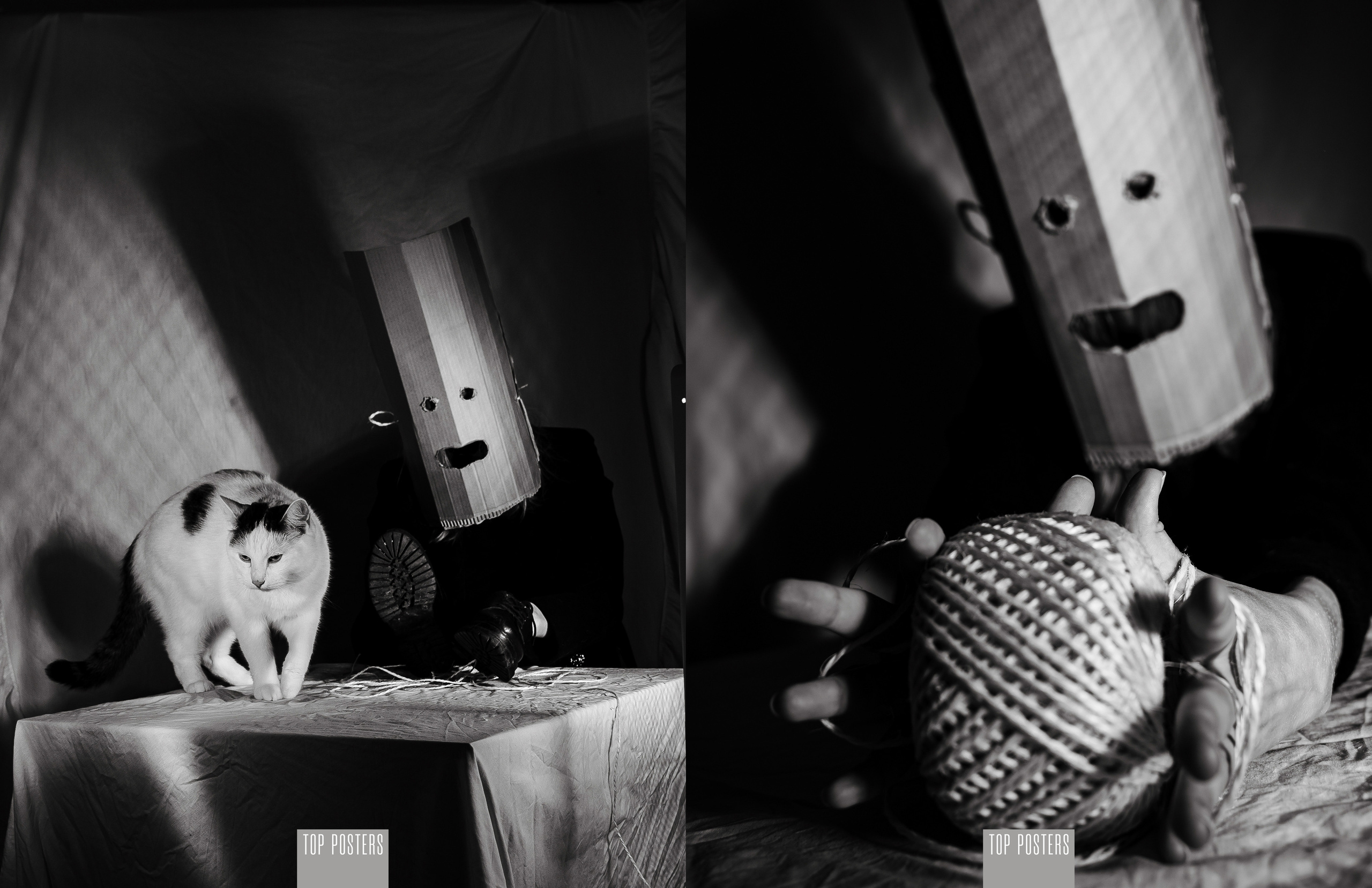 Публикация фотографа в журнале Top Posters Magazine #877