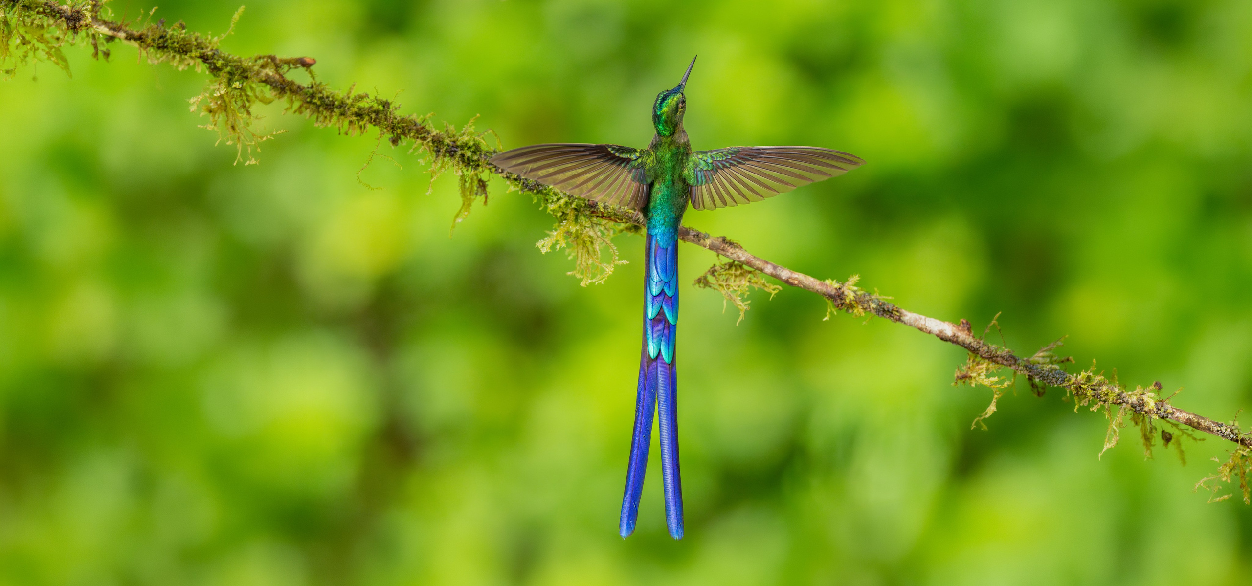 Nature photographer Yuri Soria-Galvarro