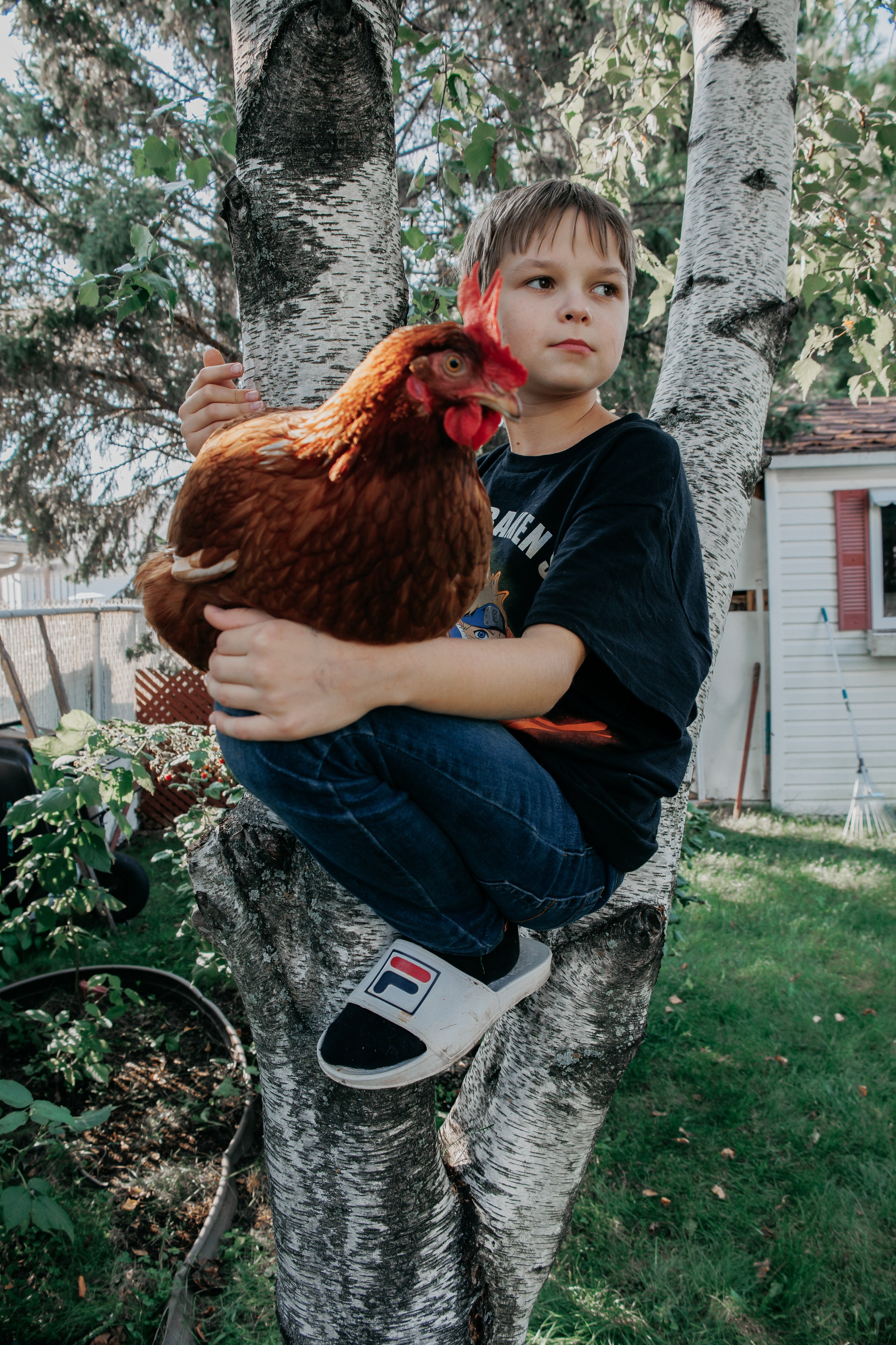 Photographe de famille et photographe portraitiste à Montréal et à Calgary