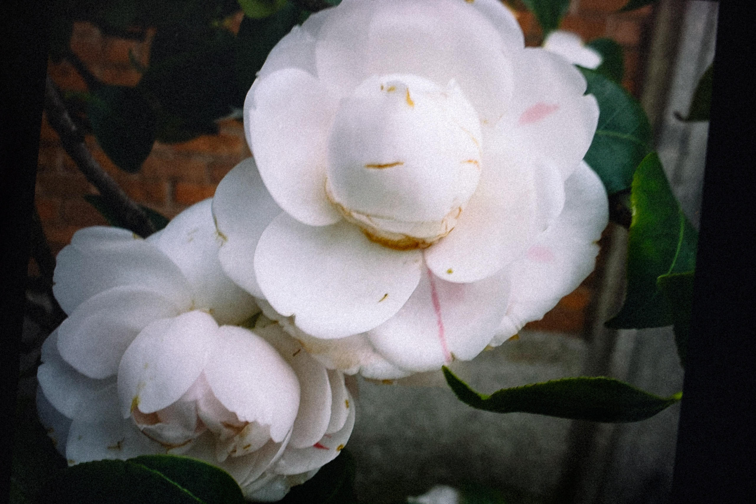 Personal Portrait Photoshoot in Barcelona — Authentic and Unscripted. Marina Kálcheva — Photographer, Videographer & Visual Artist in Barcelona