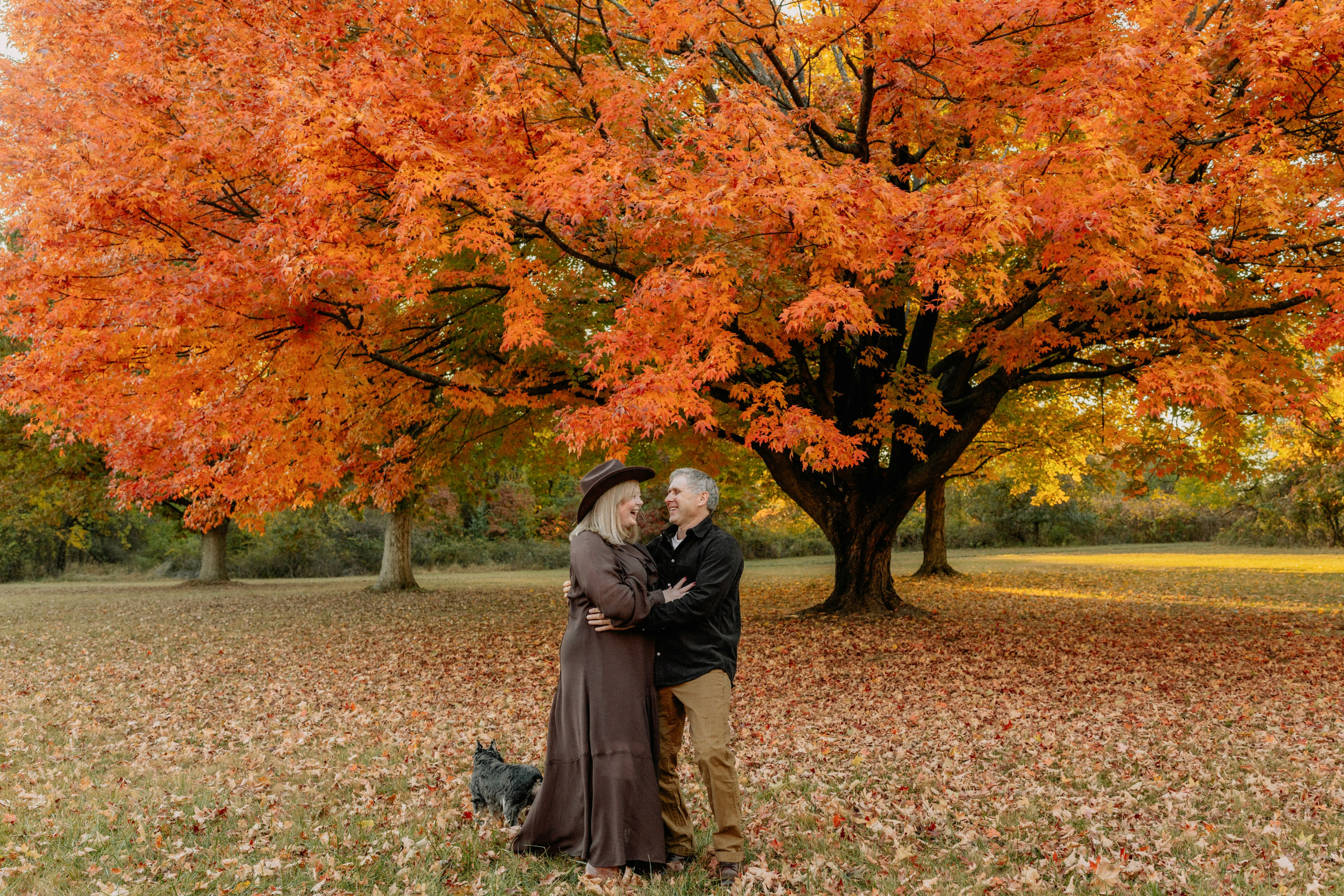 Fall Family Photography – Golden Leaves & Warm Tones. Alisa Tant — Family and newborn photographer Bucks County, Montgomery county, Philadelphia, NJ
