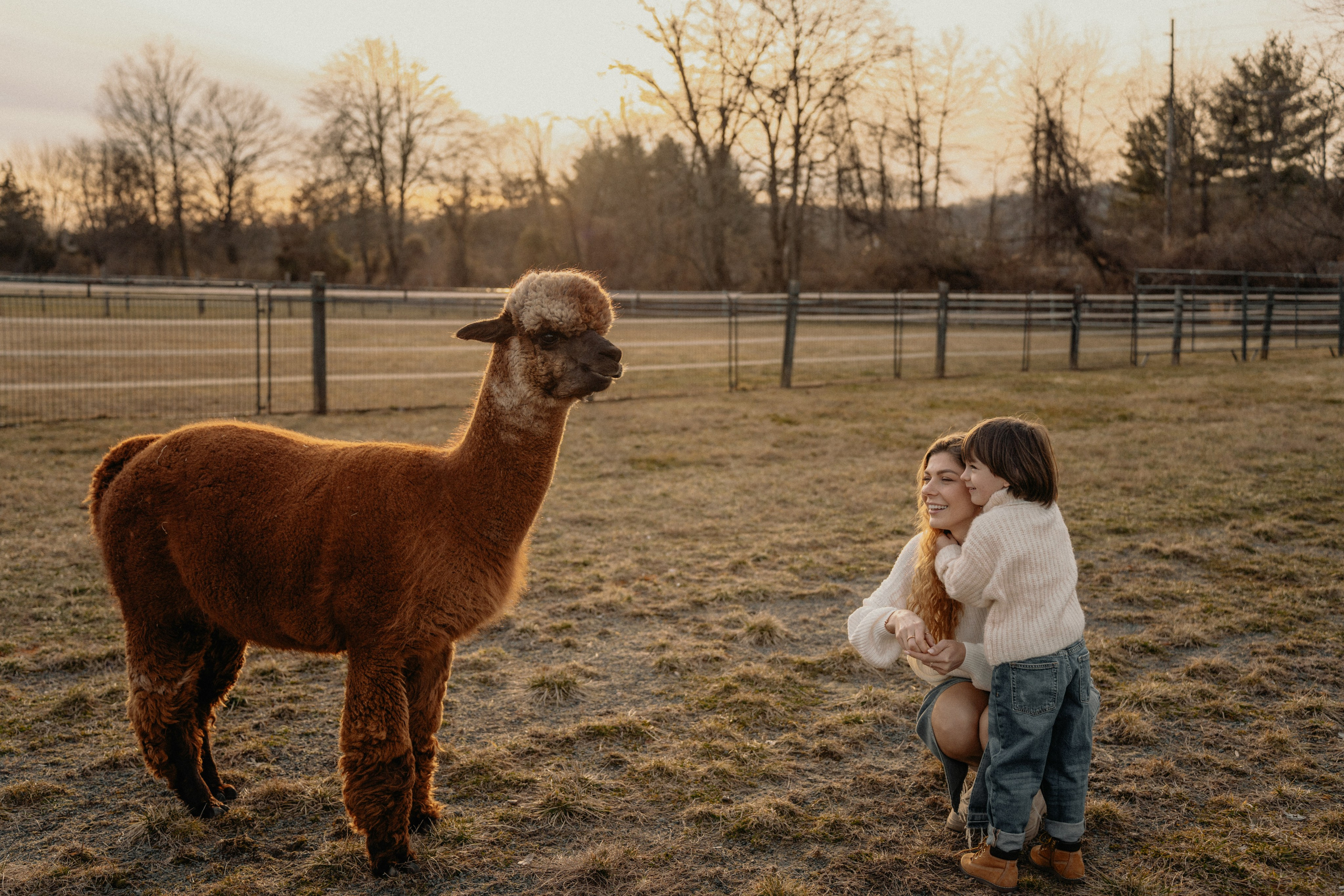 Unique Family Photography at an Alpaca Farm – Fun & Playful. Alisa Tant — Family and newborn photographer Bucks County, Montgomery county, Philadelphia, NJ