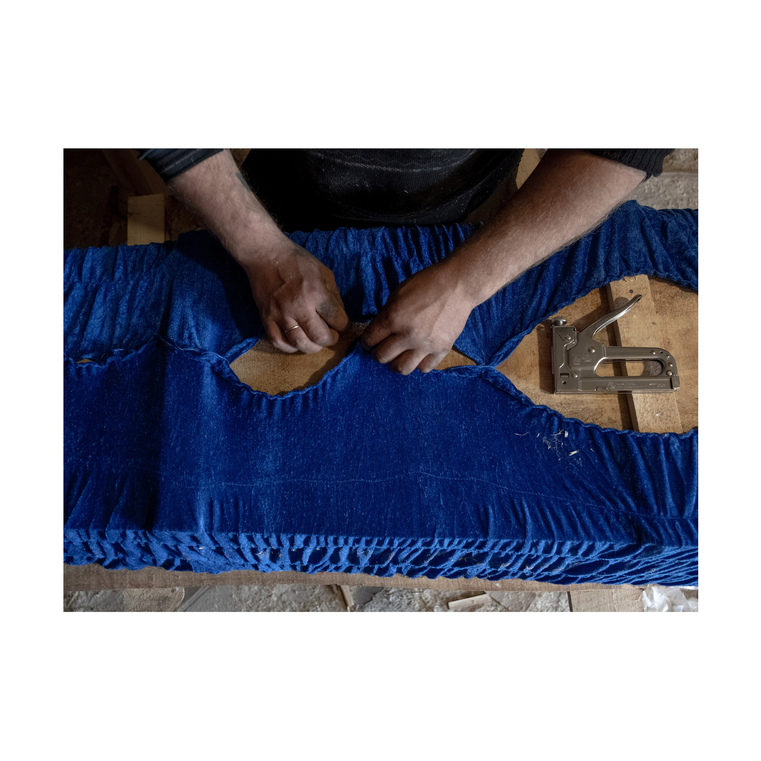 Phoenix. Nelly Elagina