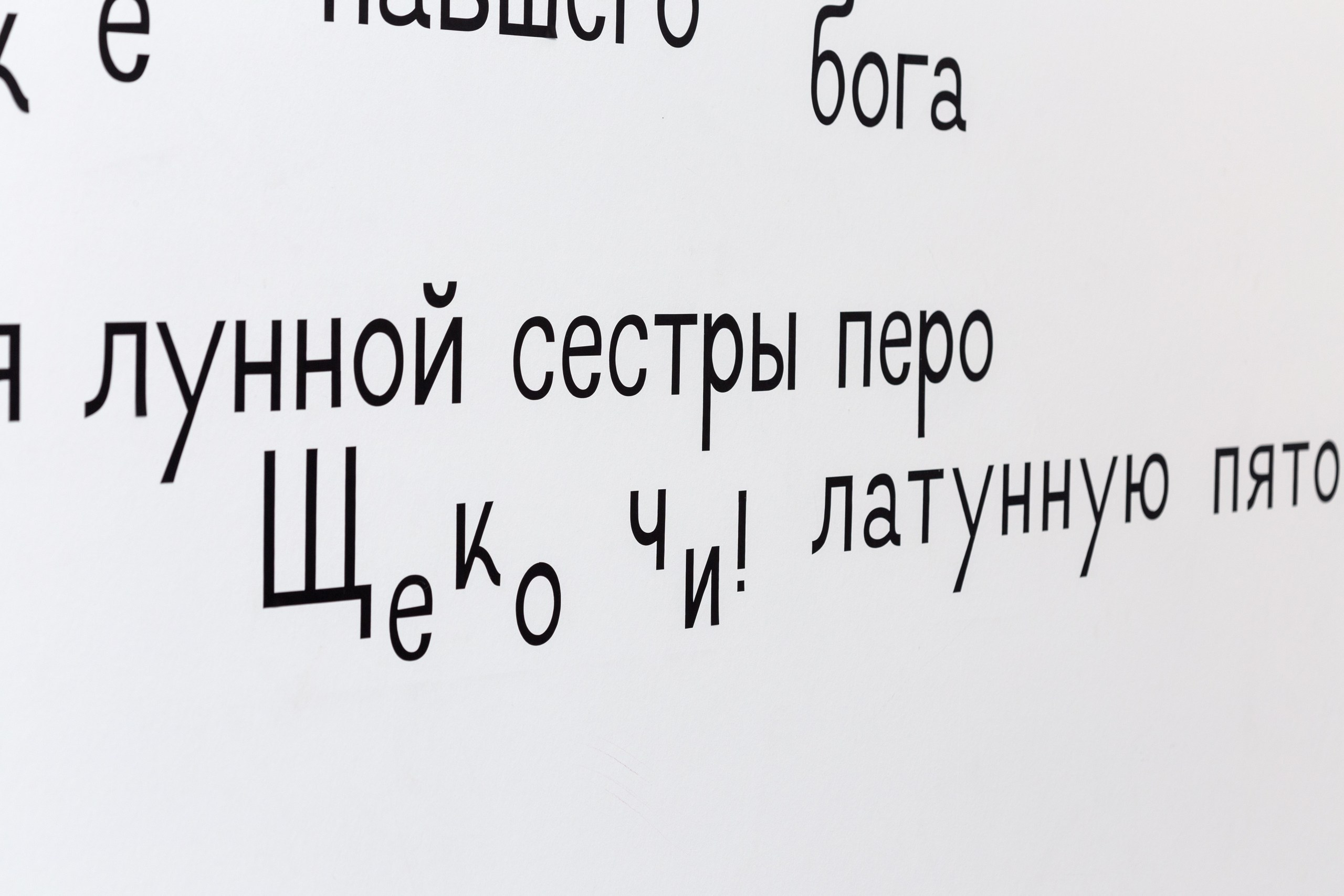 Бунт вещей. Alina Kugush