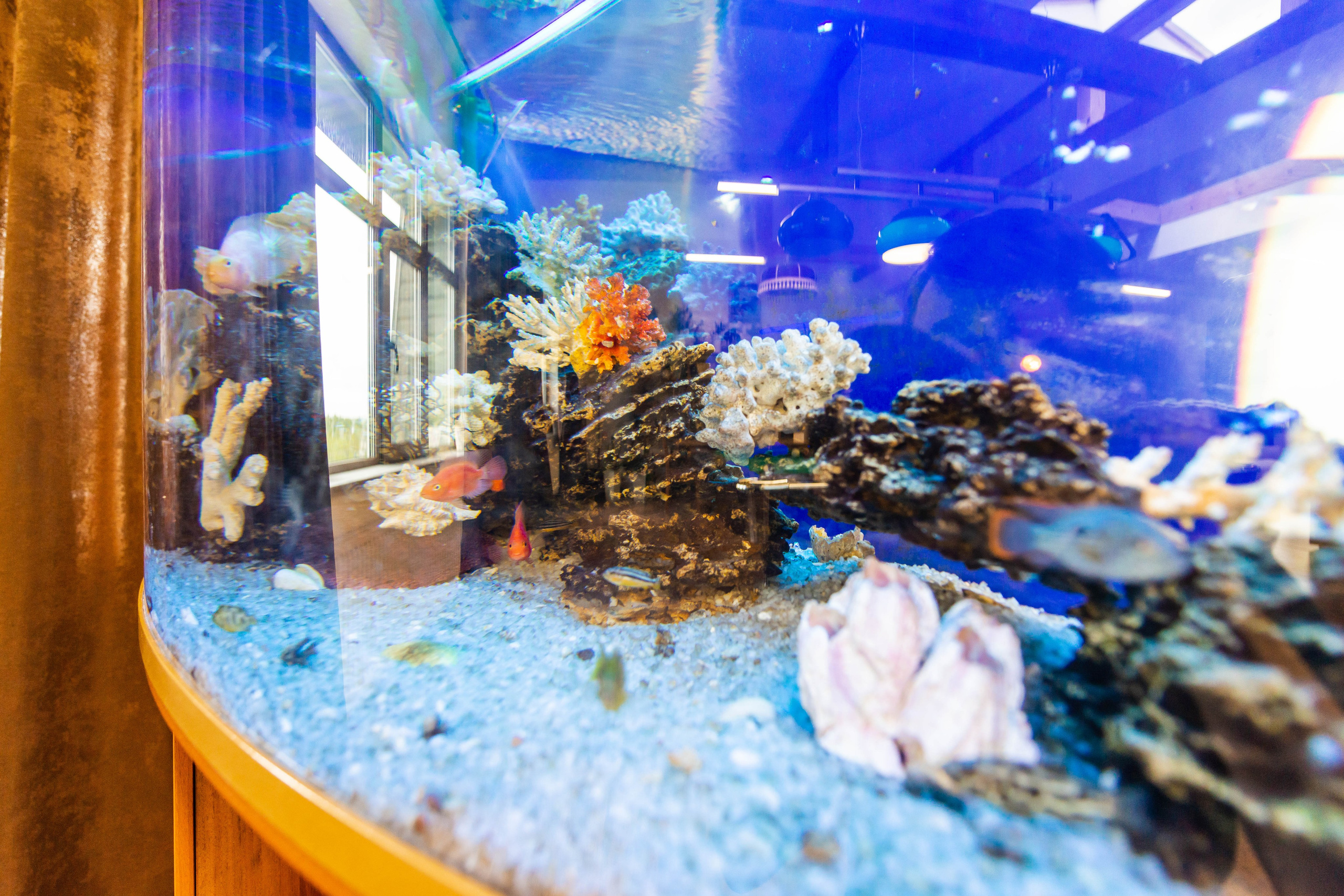 Клиника Rehab Family. ФОТОГРАФ МЕКСИКА КИНТАНА-РОО