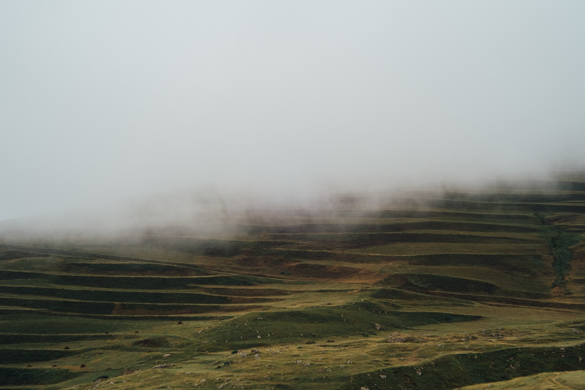 Təbiət Fotoqrafiyası və Portret Çəkilişləri. Bakıda Peşəkar Tədbir, Love Story və Təbiət Fotoqrafı — Elşən Baba