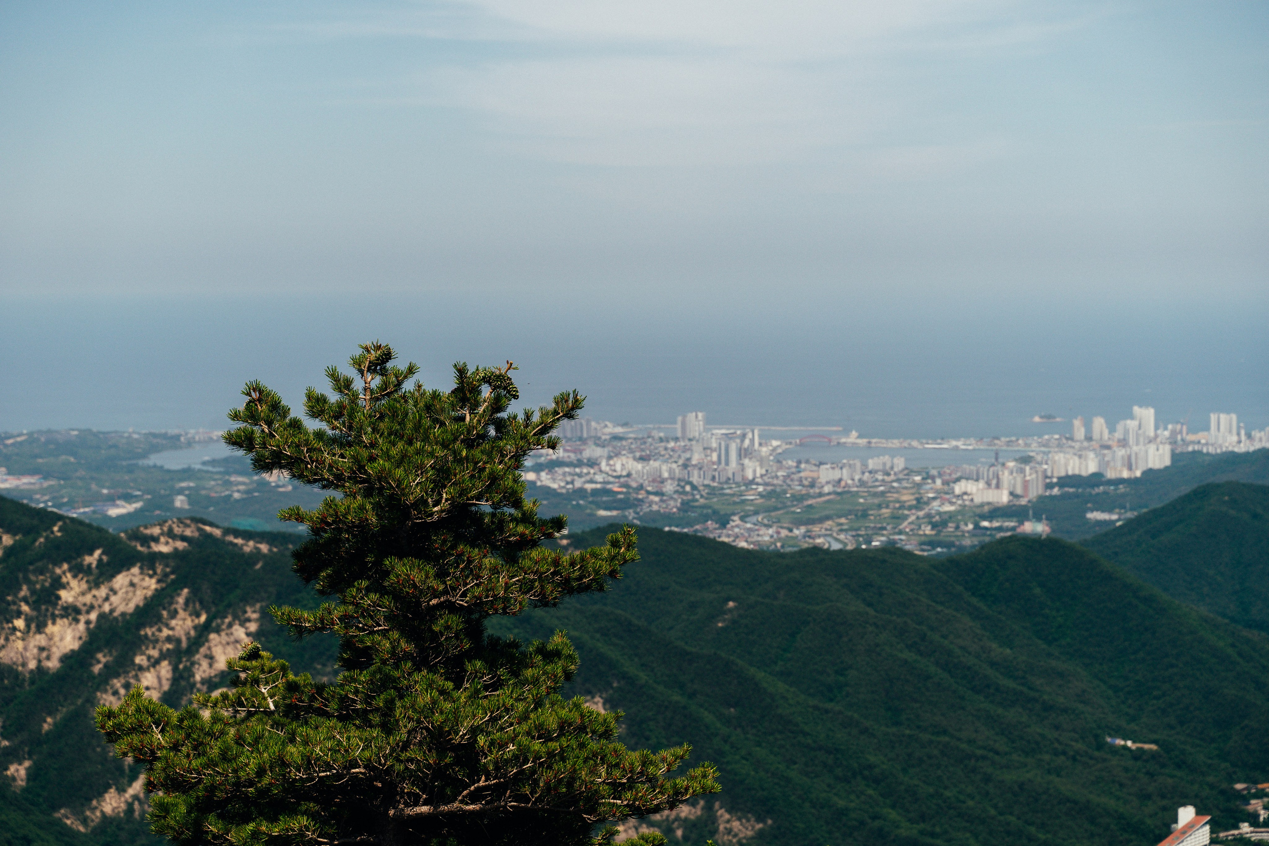 🇰🇷 Южная Корея. Фотограф и travel-блоггер Александра Гриценко