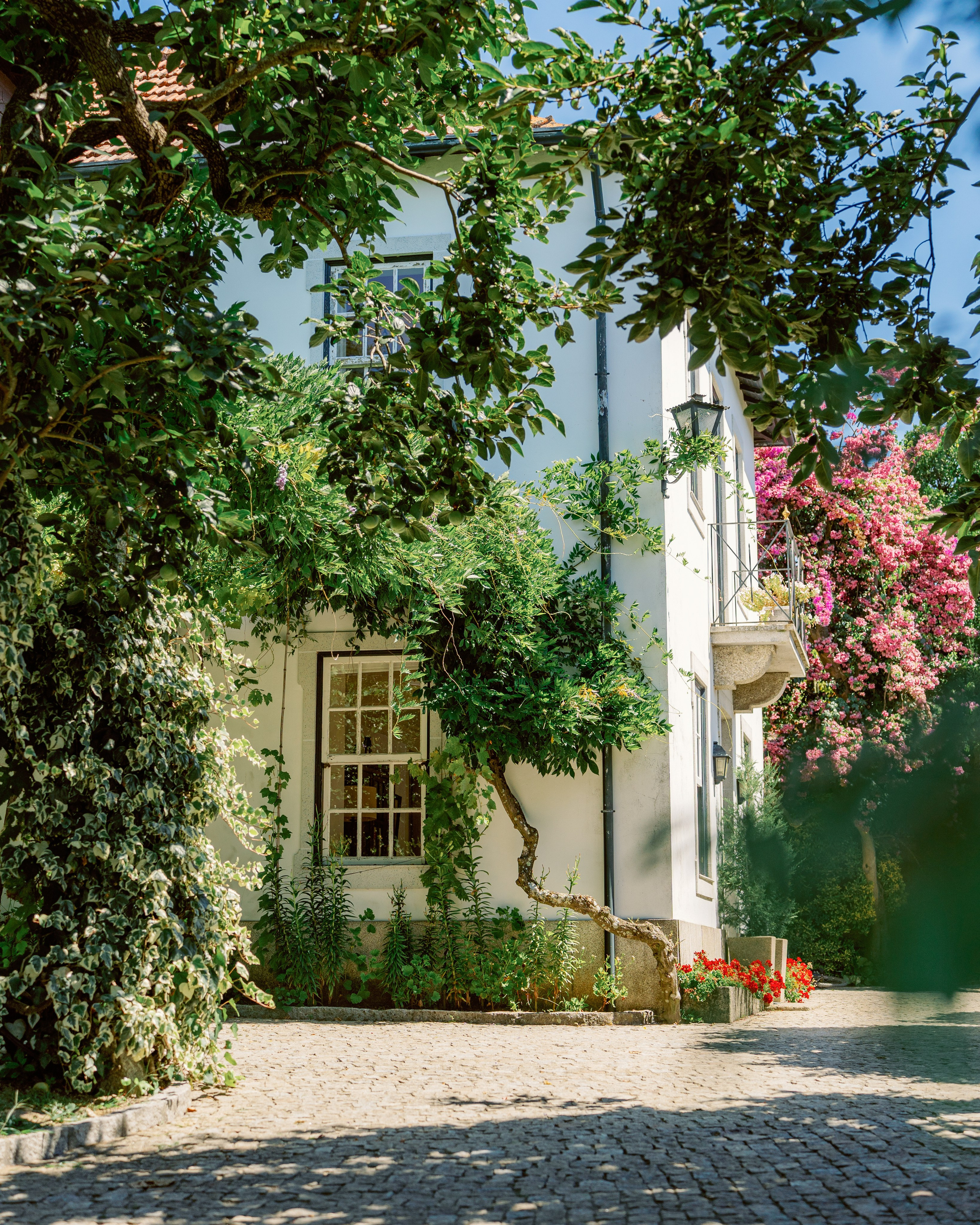 Douro Valley and Winery. Photo and video shoots, photo tours in Portugal — WePortugal