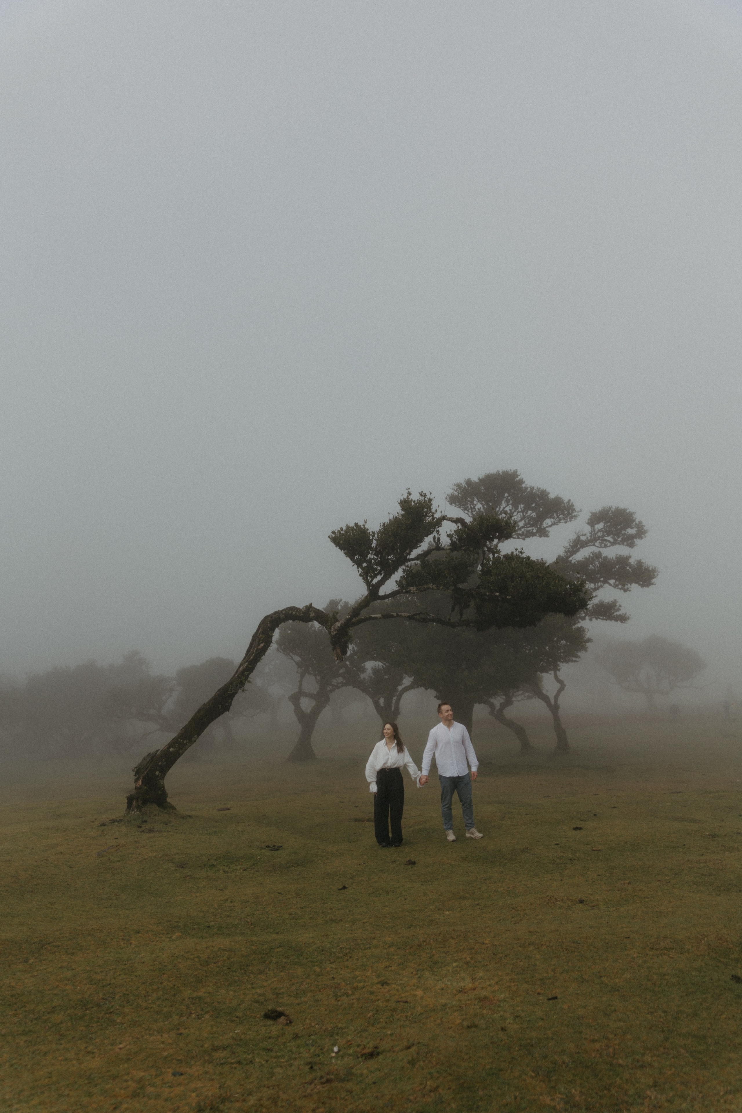 Magic of Fanal Forest. Wedding photographer and videographer based in Timisoara, Romania
