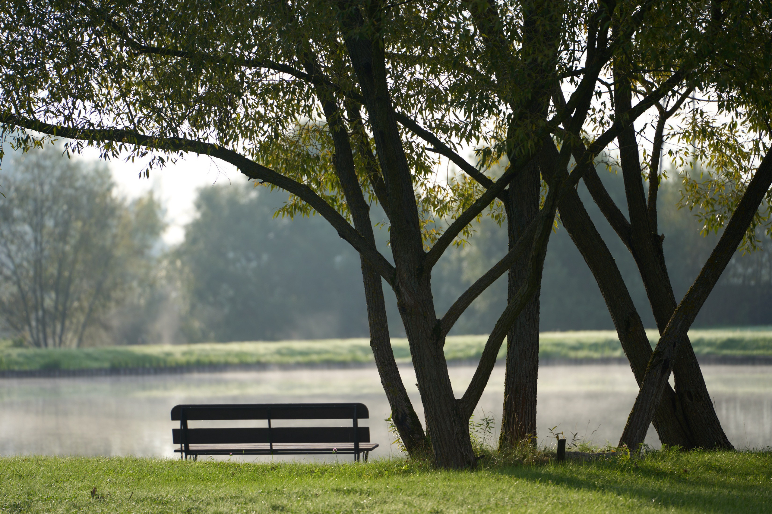 Недвижимость. Фотограф в Москве