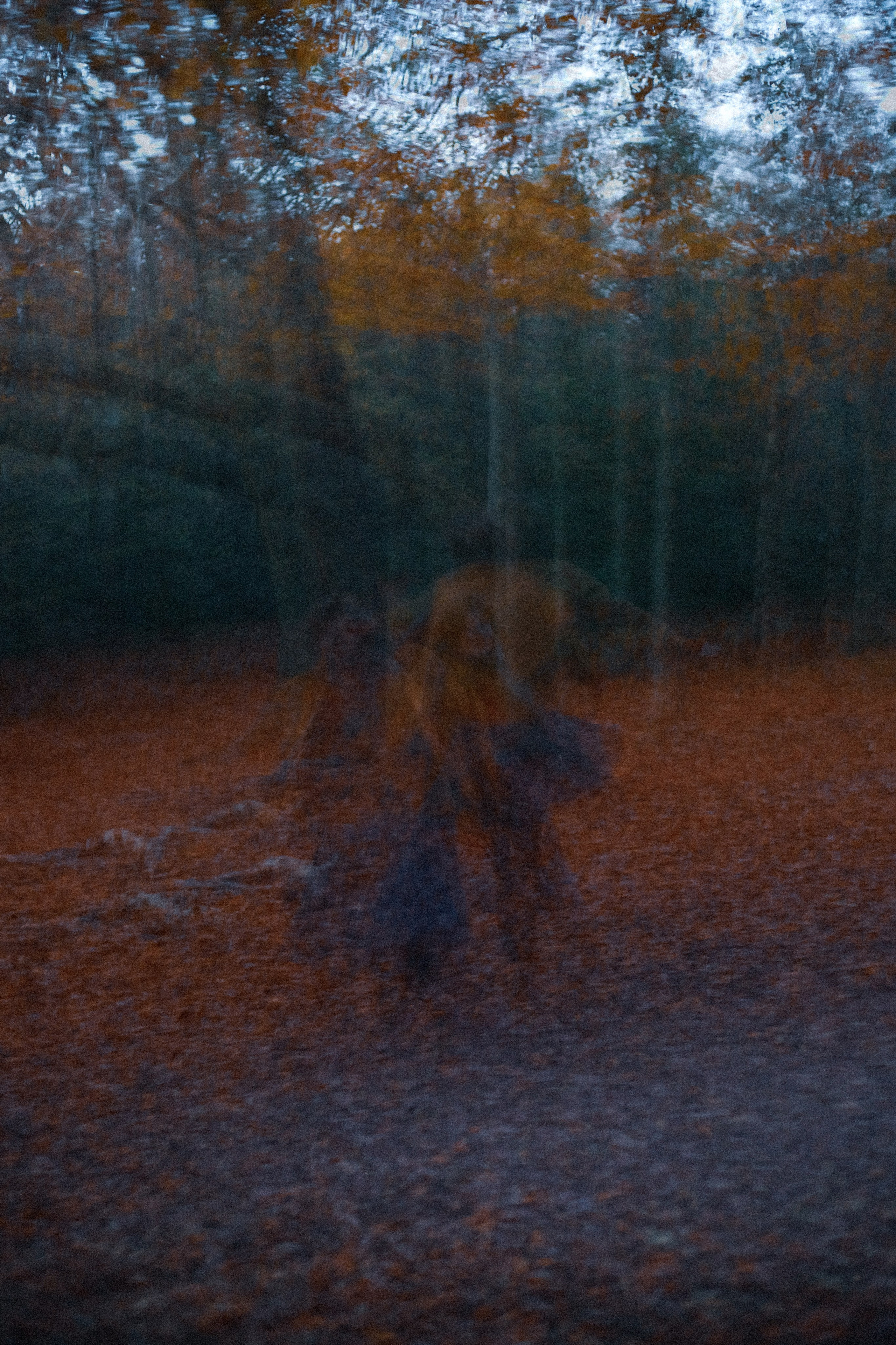 Zoe Hampstead Heath. Victoria Dini. Art photography in London / Folkestone, UK