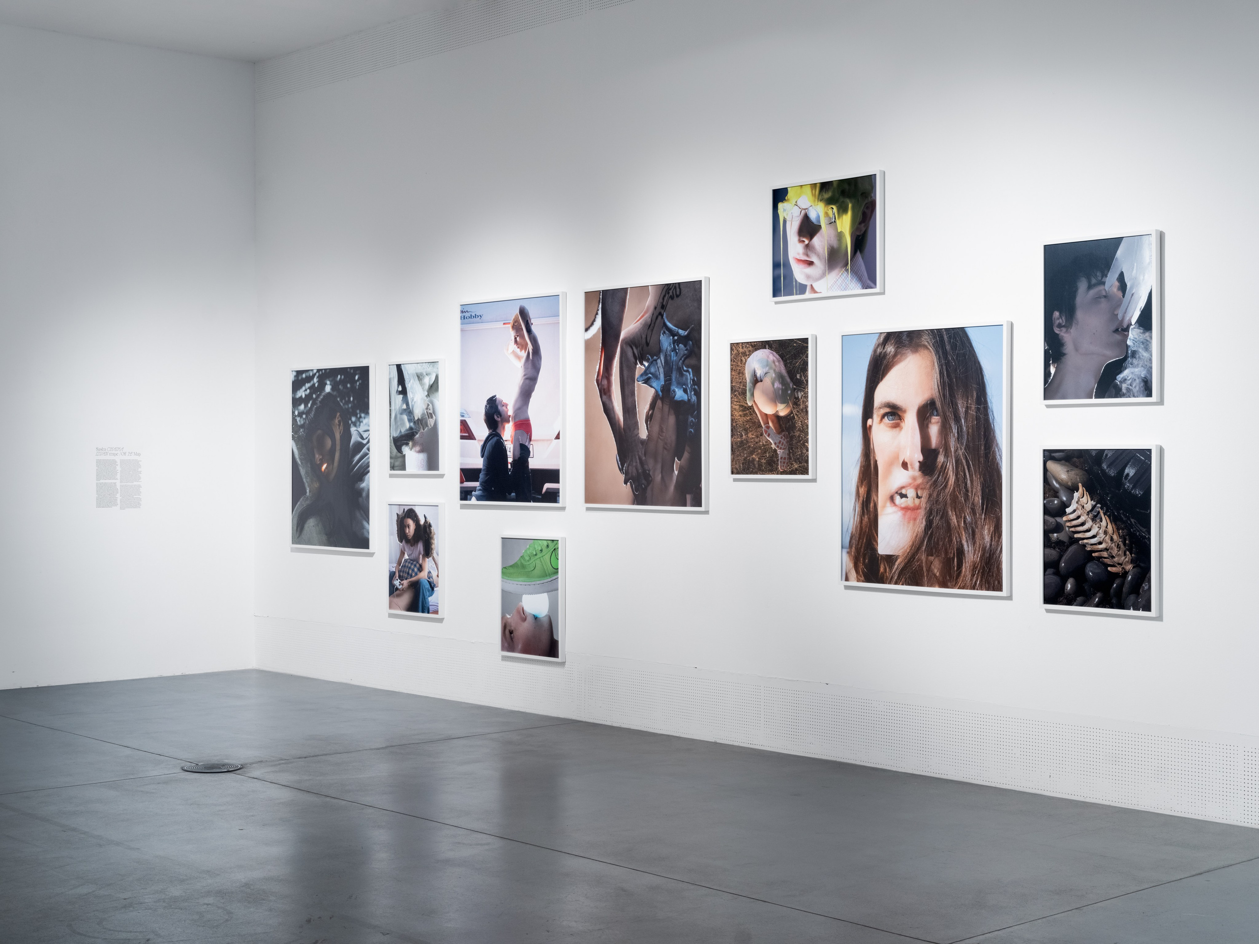 Exhibitions. Sasha Chaika