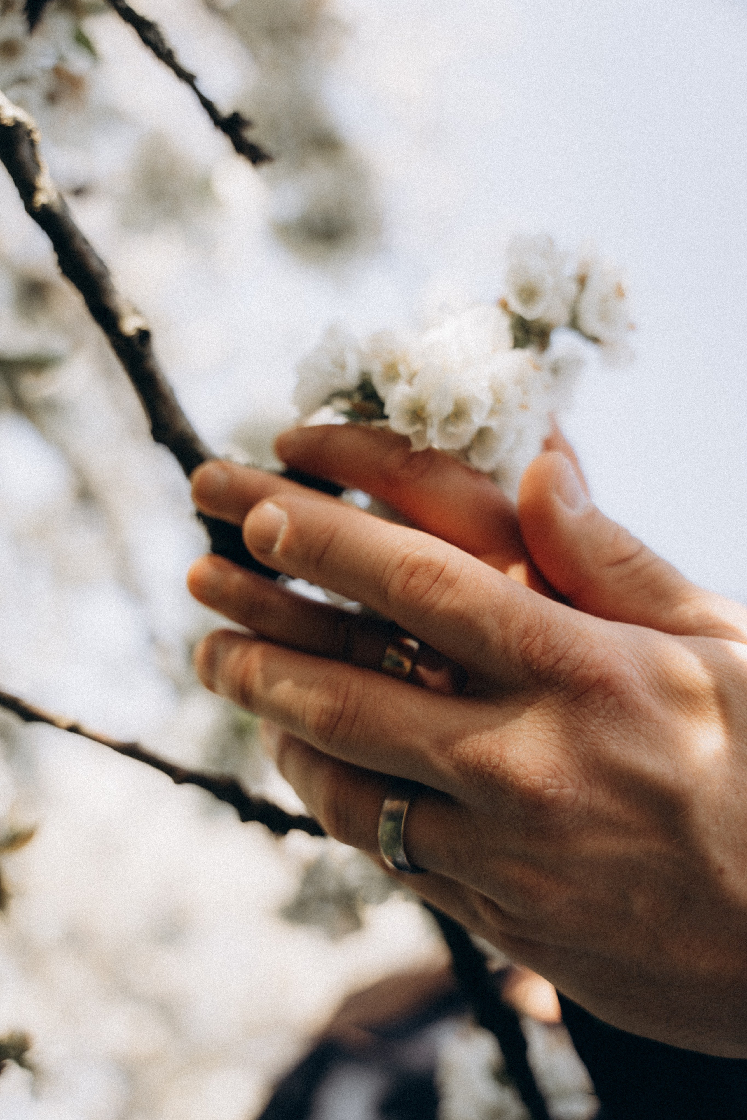 Levke und Marco | Hochzeitsprobe. Elena Seewald