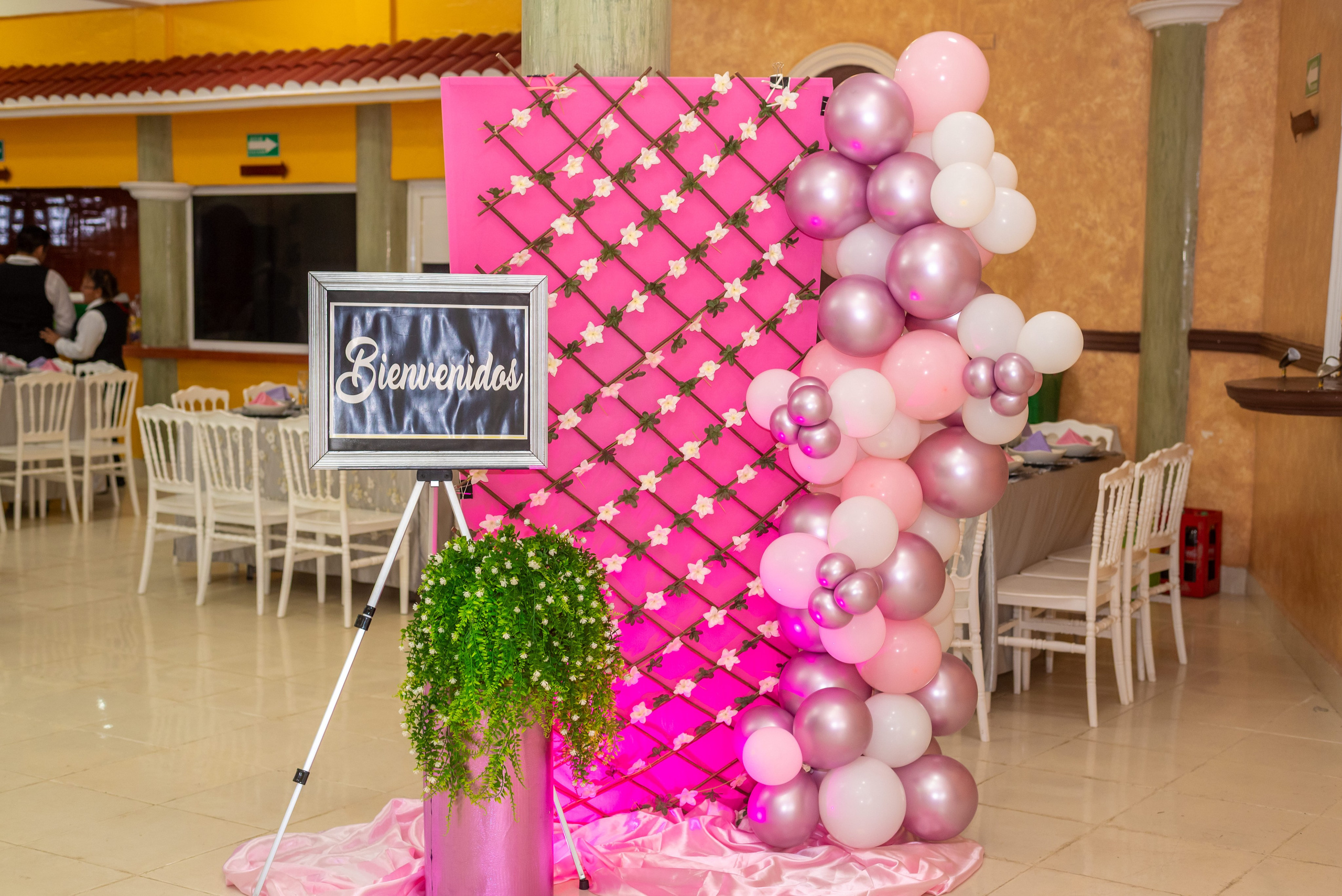 Mini Paquetes. Fotografía Profesional - Noise Motion